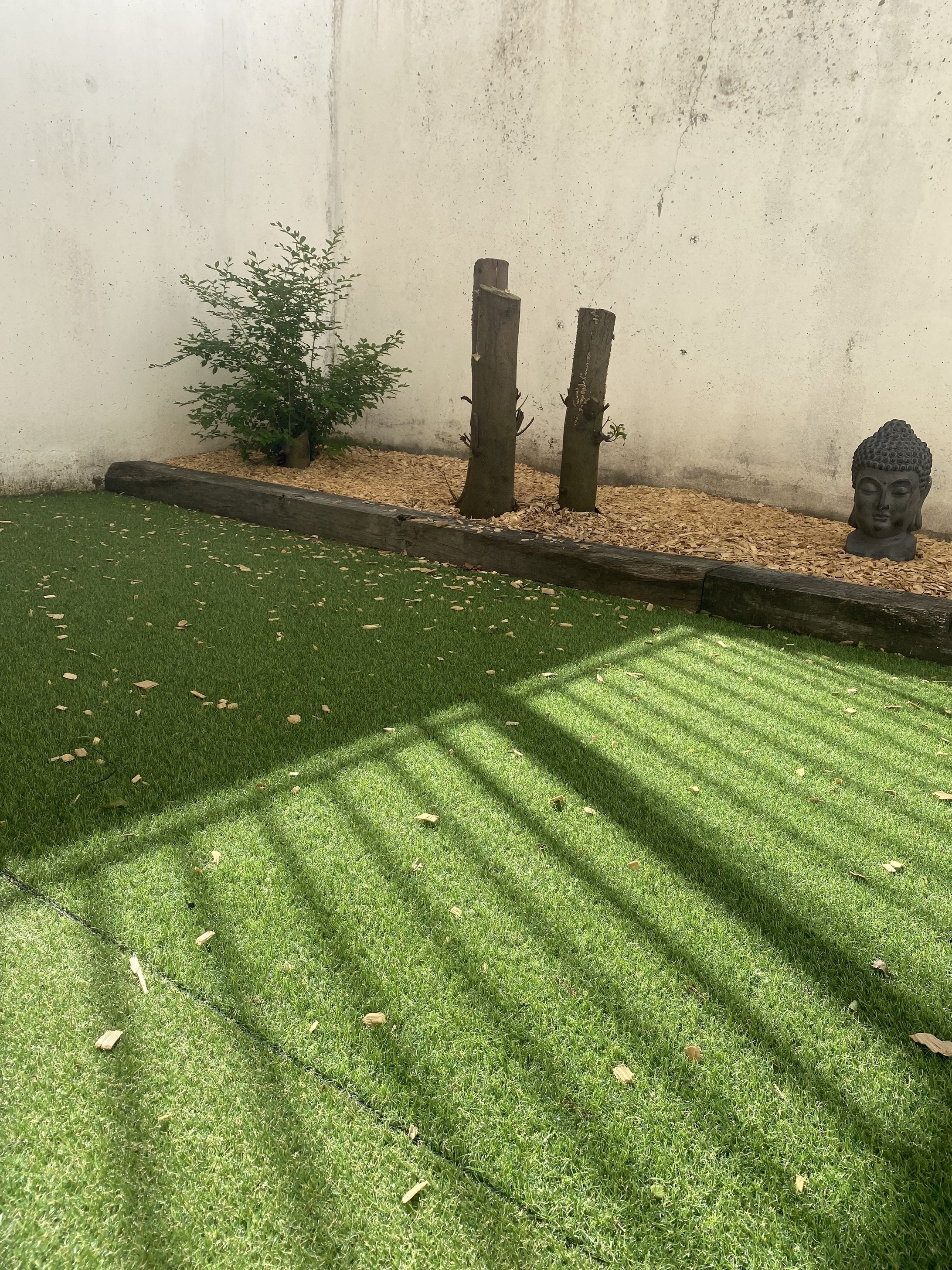 Appartement - Limoges