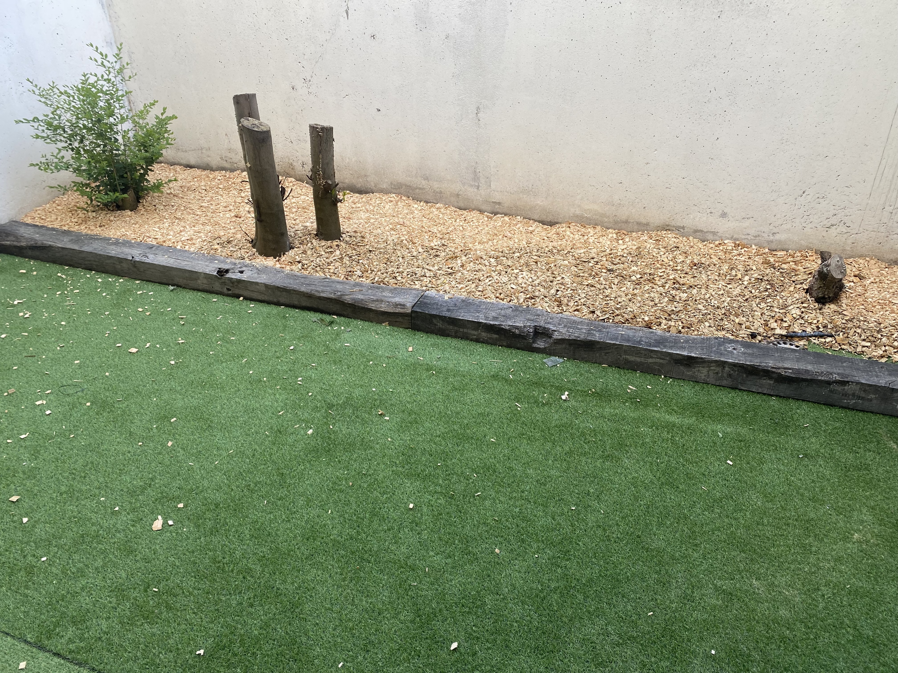 Appartement - Limoges