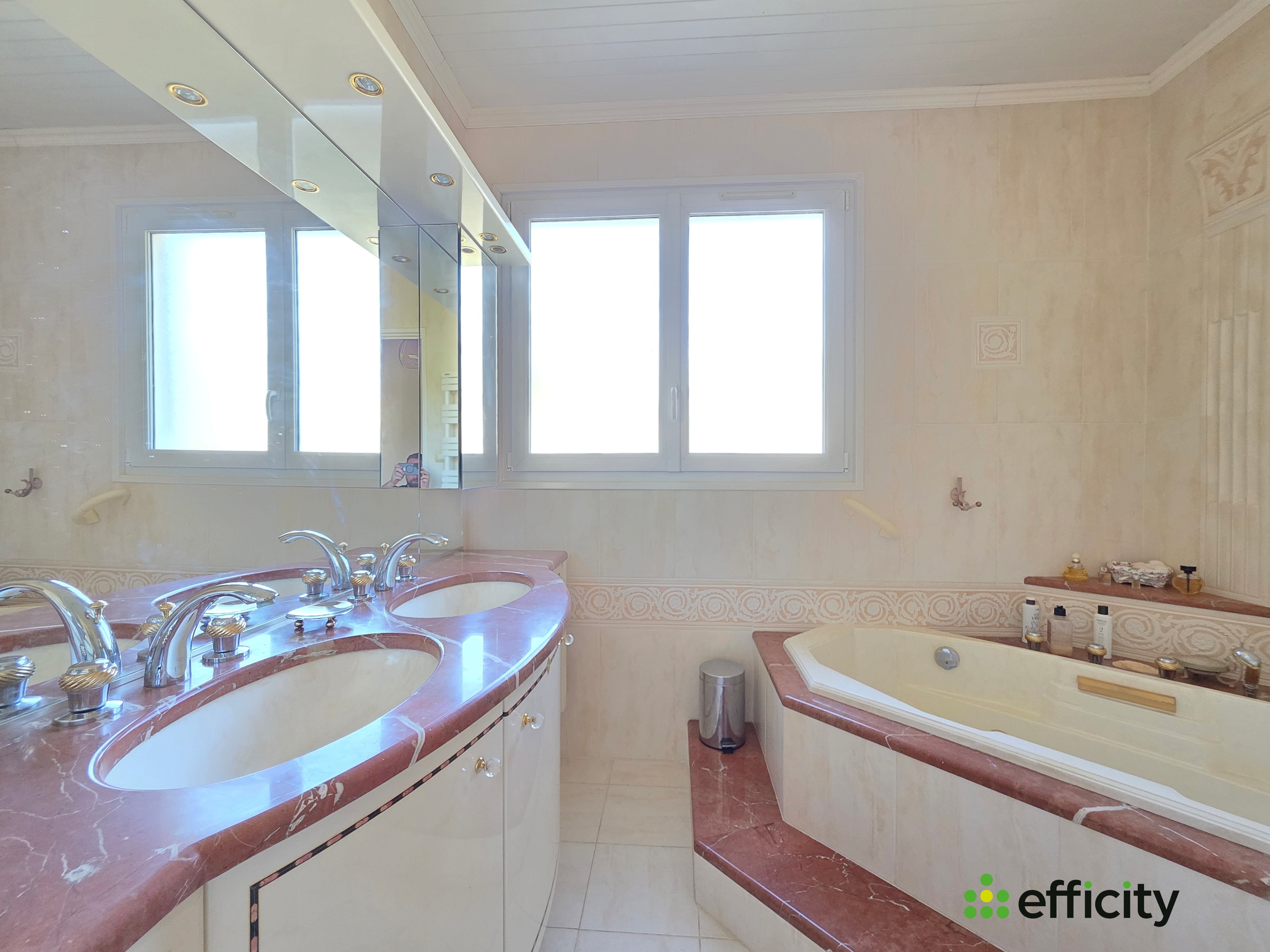 Achat immobilier Maison 6 pièces  150m2 à Oraison (04700) - Photo n°7