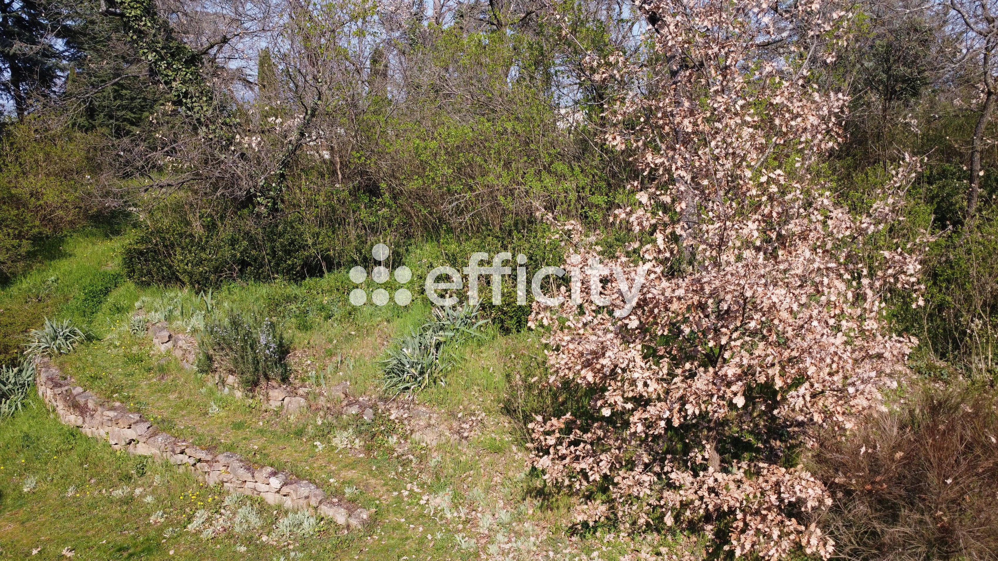 Achat immobilier Maison 8 pièces  300m2 à Davézieux (07430) - Photo n°4