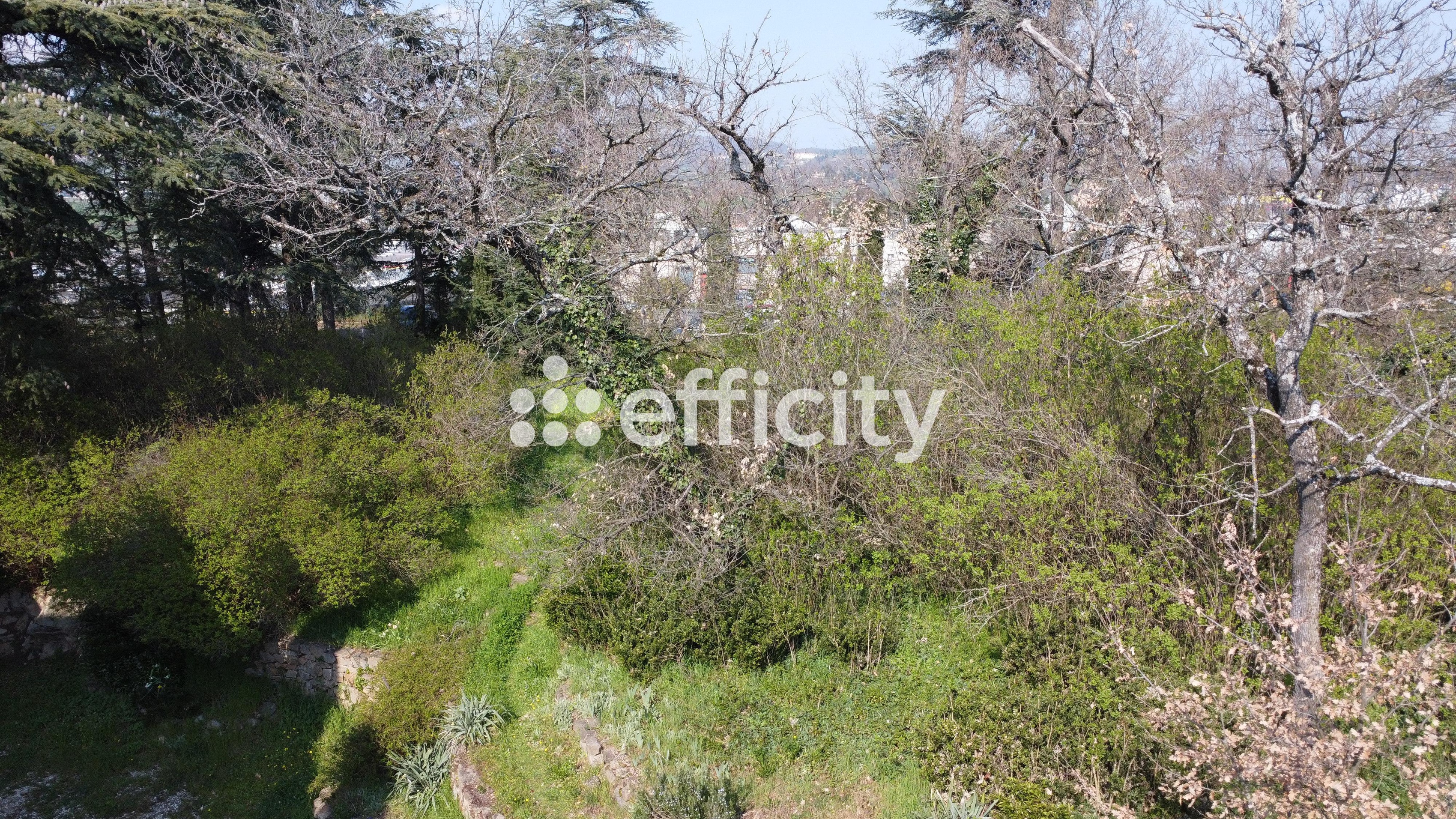 Achat immobilier Maison 8 pièces  300m2 à Davézieux (07430) - Photo n°5