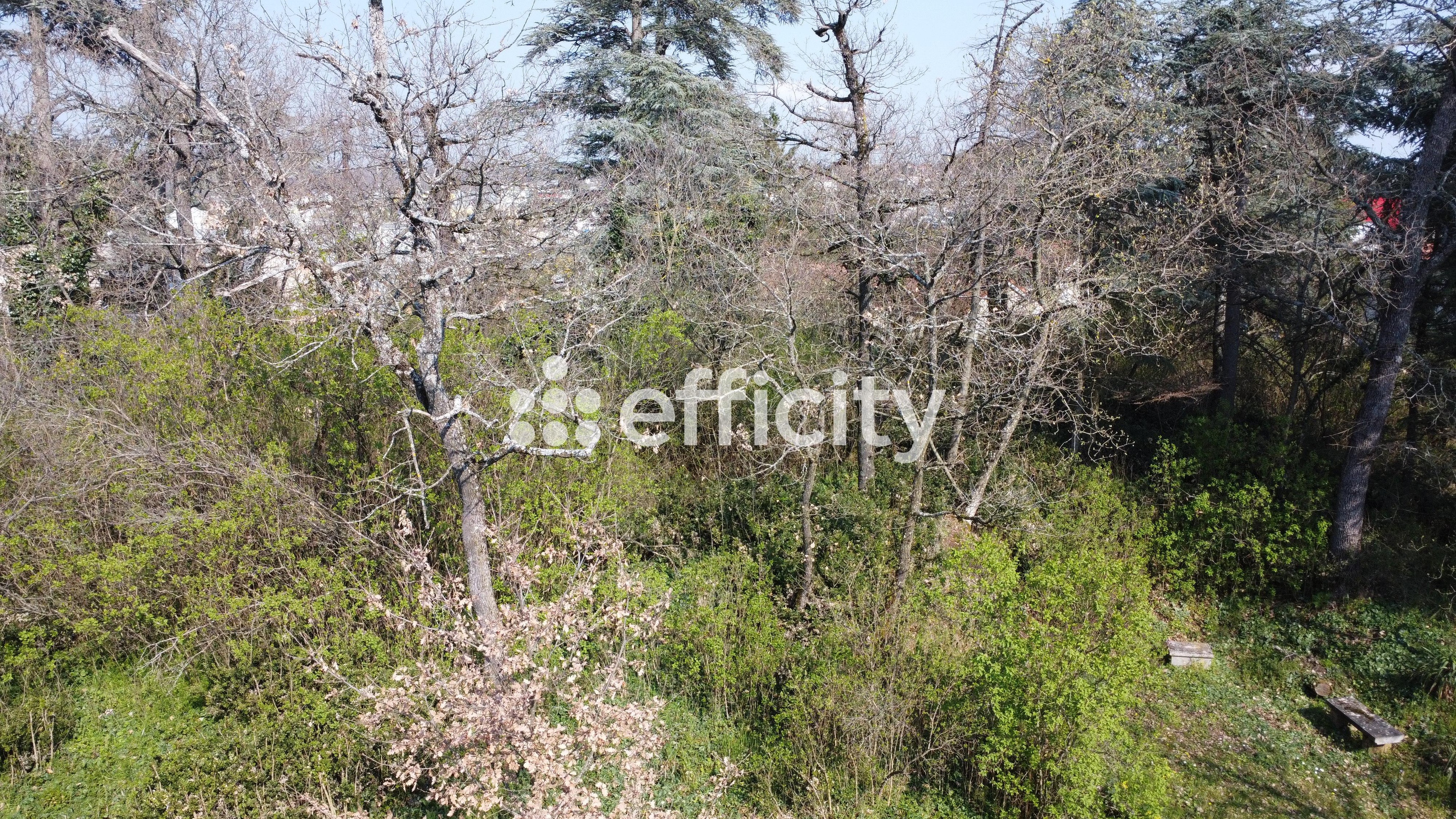 Achat immobilier Maison 8 pièces  300m2 à Davézieux (07430) - Photo n°6