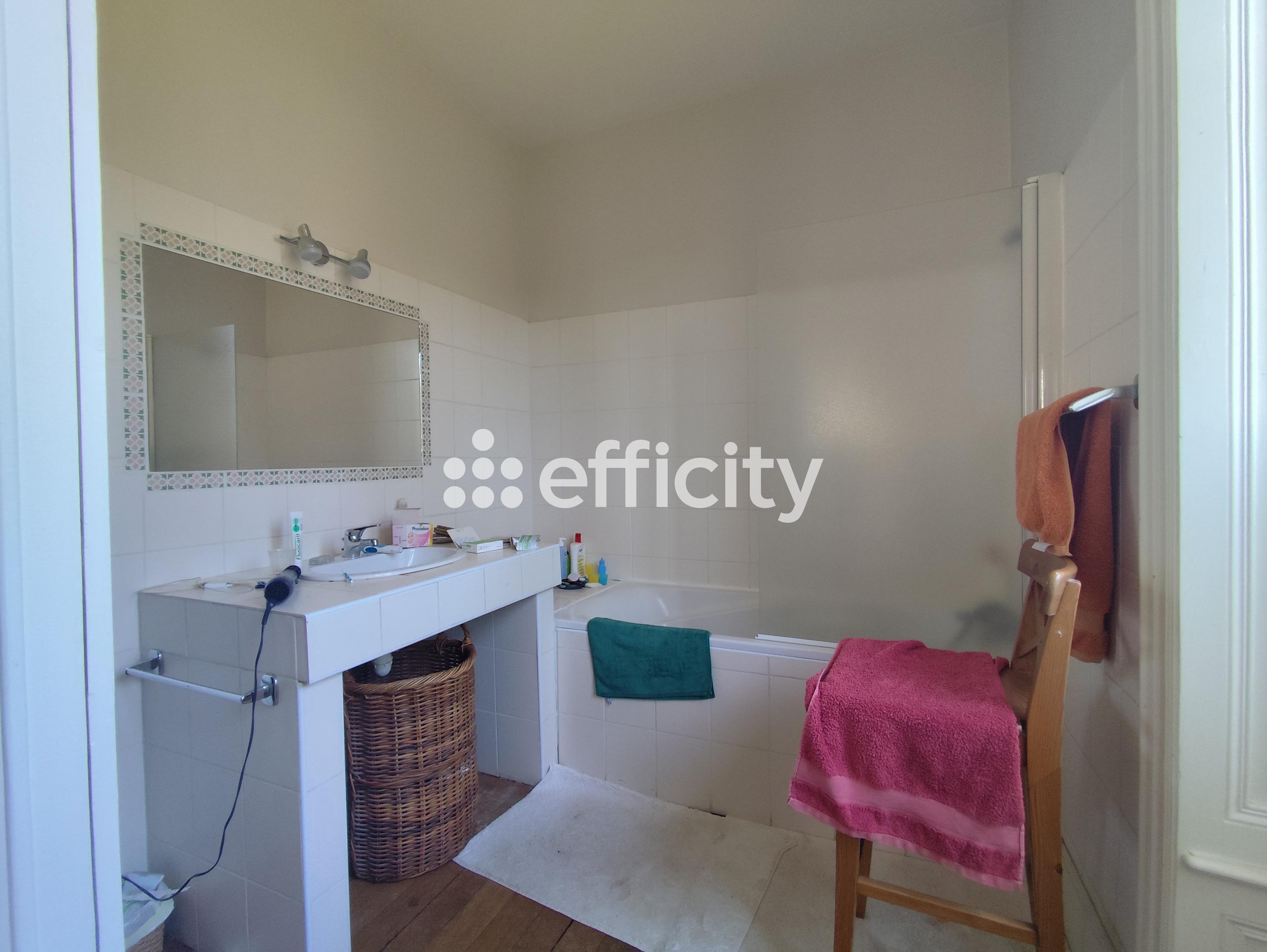 Achat immobilier Maison 8 pièces  300m2 à Davézieux (07430) - Photo n°20