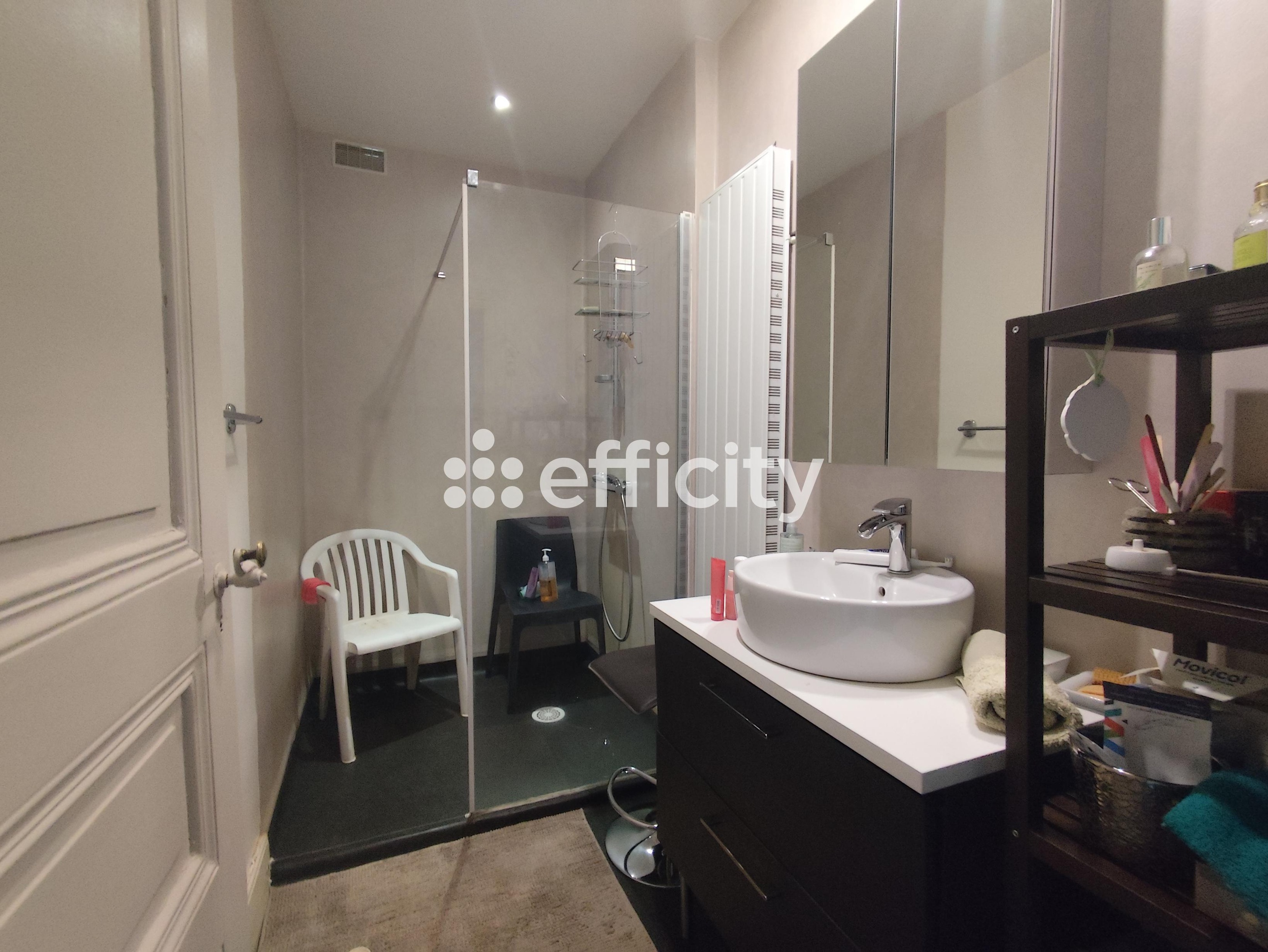 Achat immobilier Maison 8 pièces  300m2 à Davézieux (07430) - Photo n°15