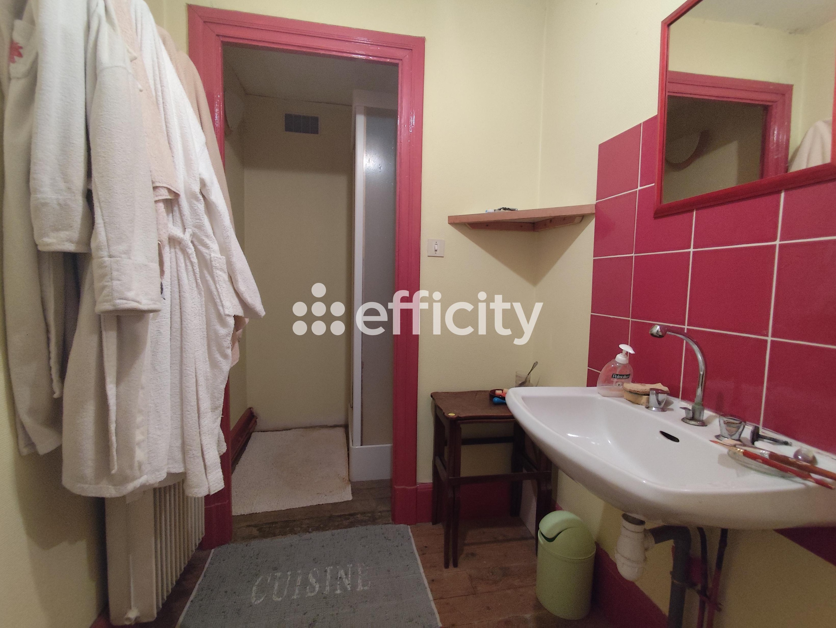 Achat immobilier Maison 8 pièces  300m2 à Davézieux (07430) - Photo n°24