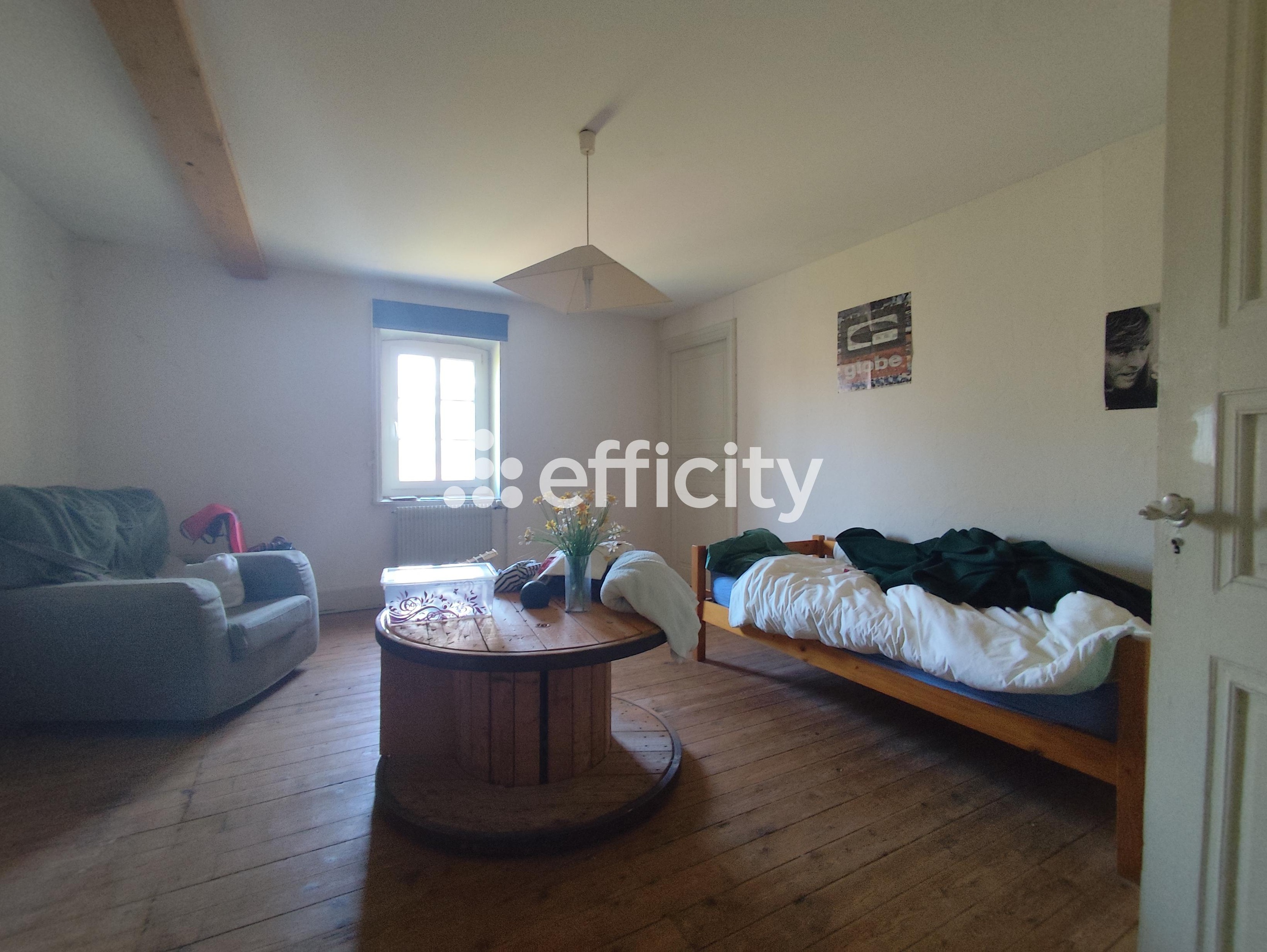 Achat immobilier Maison 8 pièces  300m2 à Davézieux (07430) - Photo n°22