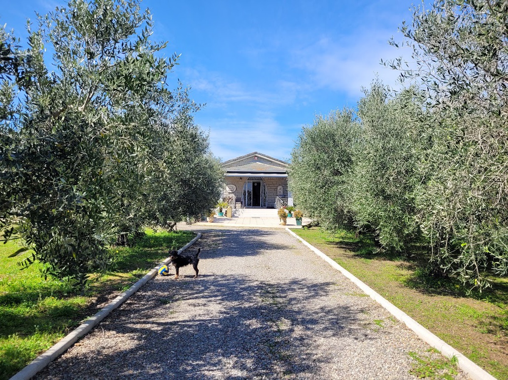 Achat immobilier Maison 4 pièces  140m2 à Borgo (20290) - Photo n°9