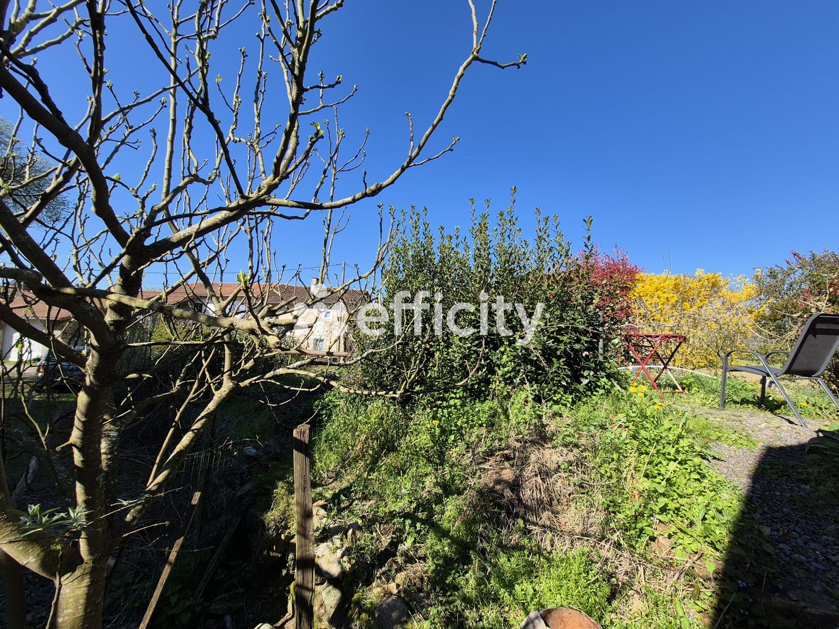 Achat immobilier Maison 1 pièces  18m2 à Saulgond (16420) - Photo n°7