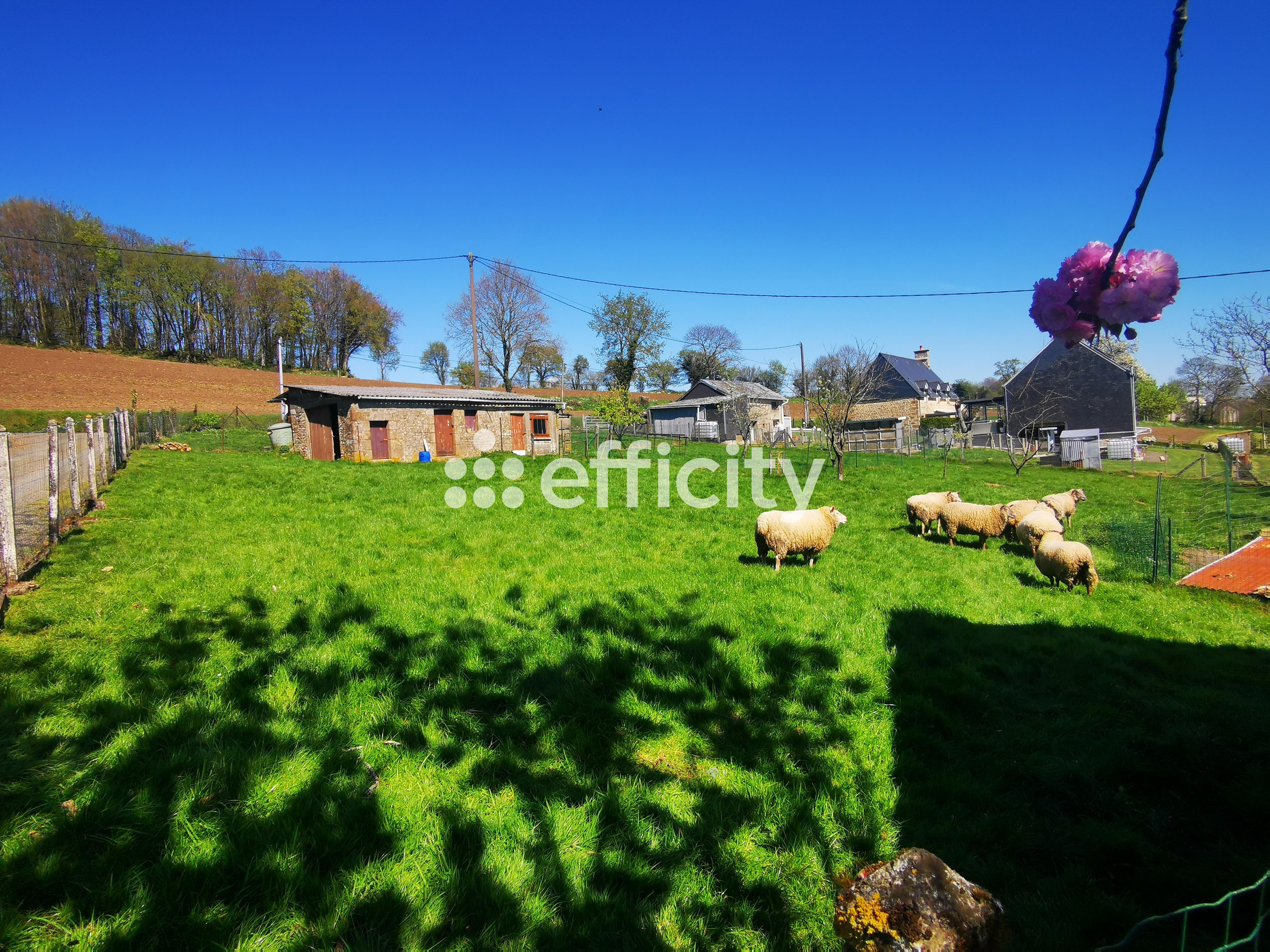 Achat immobilier Maison 6 pièces  126m2 à Noues de Sienne (14380) - Photo n°9