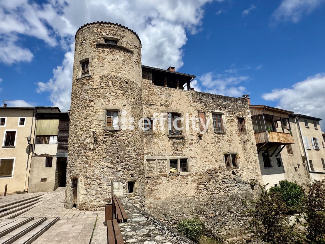 maison 13 pièces - 408,0m2 à Courpière (63120)