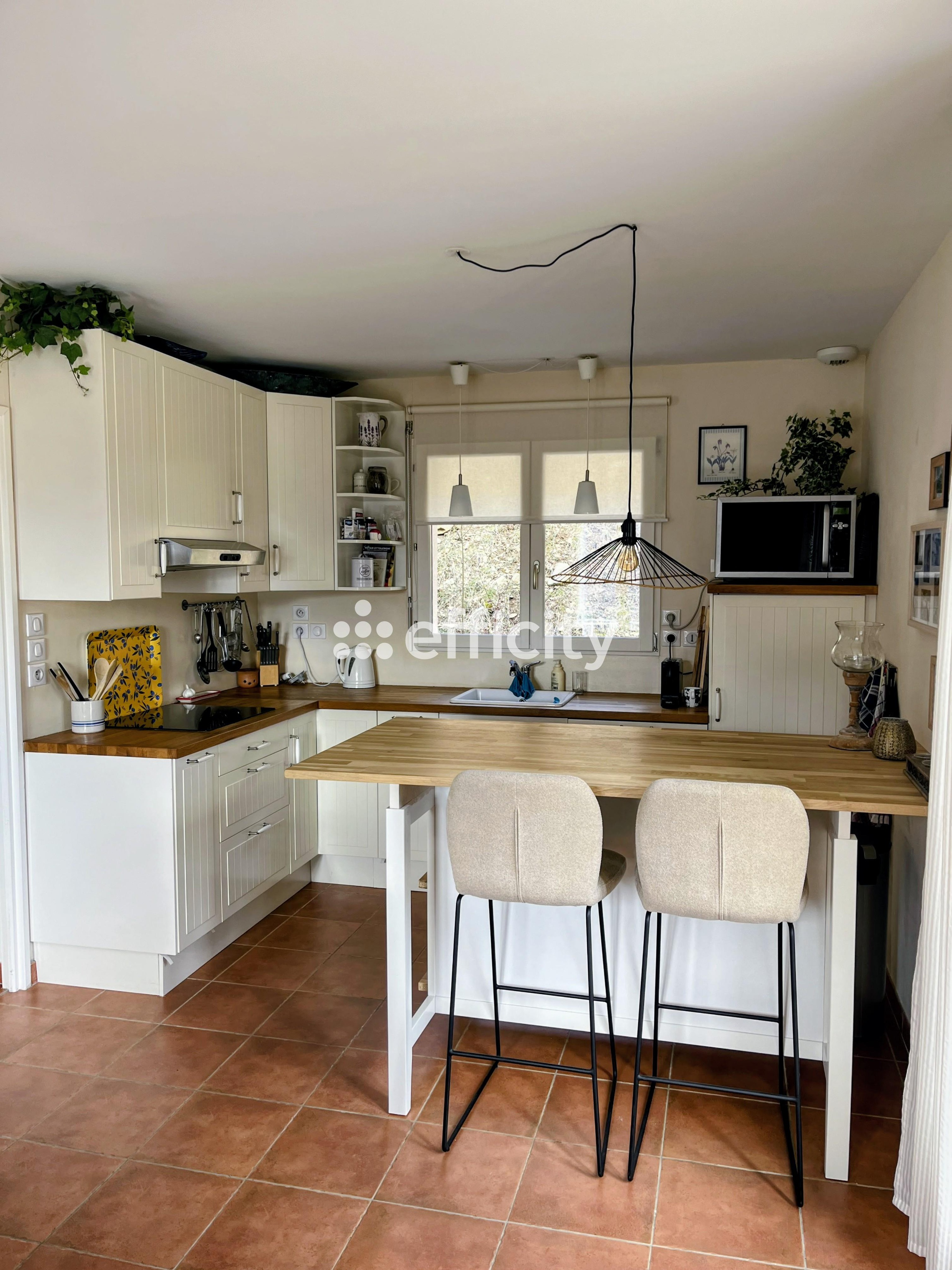Achat immobilier Maison 5 pièces  100m2 à Aspres-lès-Corps (05800) - Photo n°6