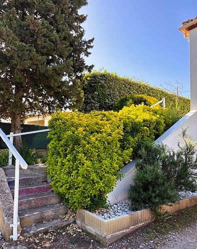 Achat immobilier Maison 6 pièces  195m2 à Fabrègues (34690) - Photo n°13