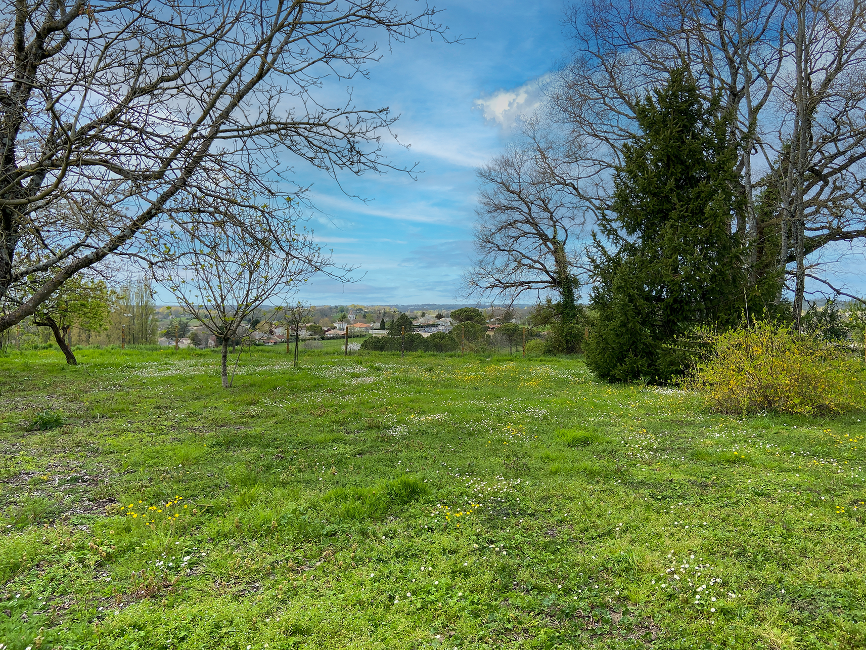 Achat immobilier Terrain   699m2 à Lugon-et-l'Île-du-Carnay (33240) - Photo n°4