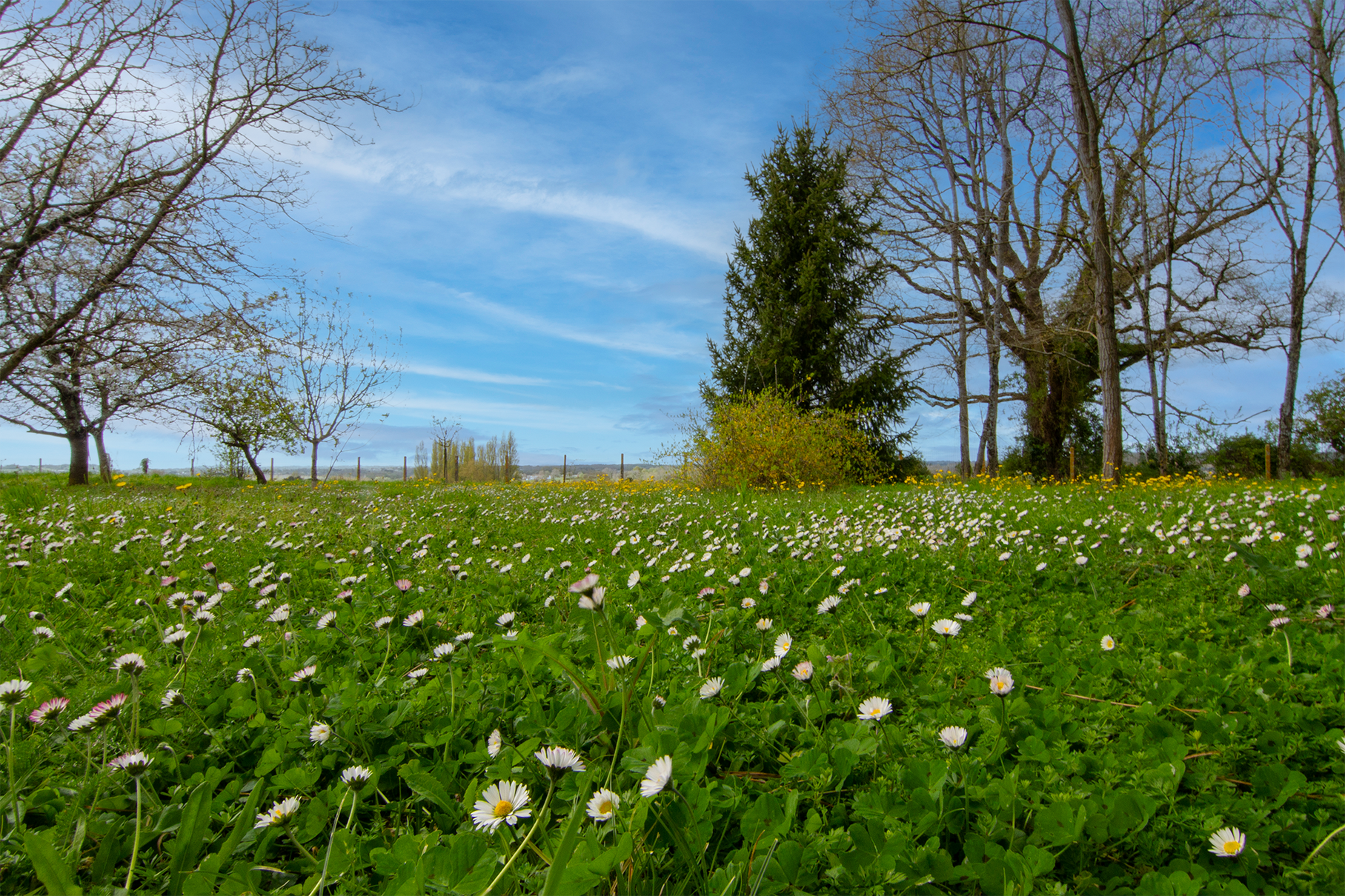 Achat immobilier Terrain   699m2 à Lugon-et-l'Île-du-Carnay (33240) - Photo n°1