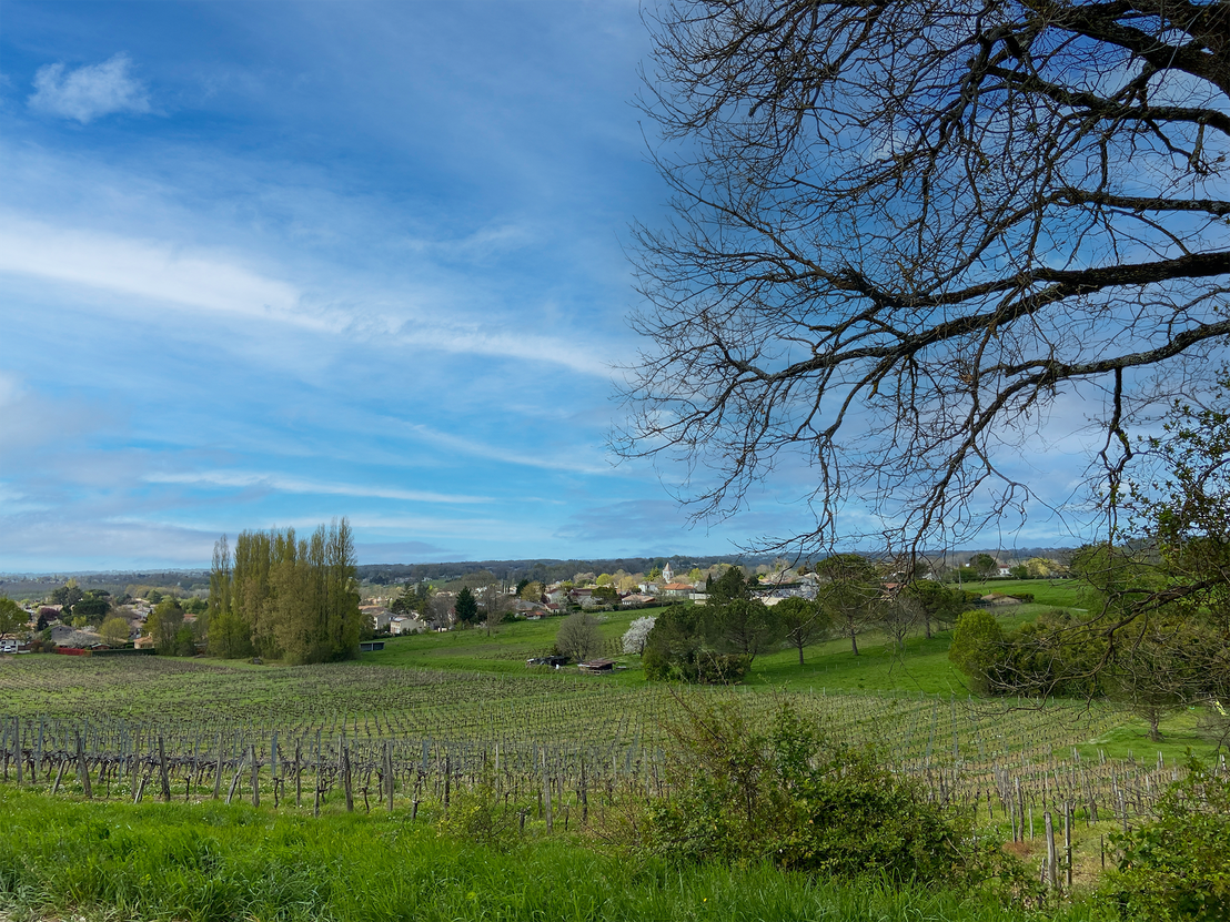 terrain  - 699m2 à Lugon-et-l'Île-du-Carnay (33240)