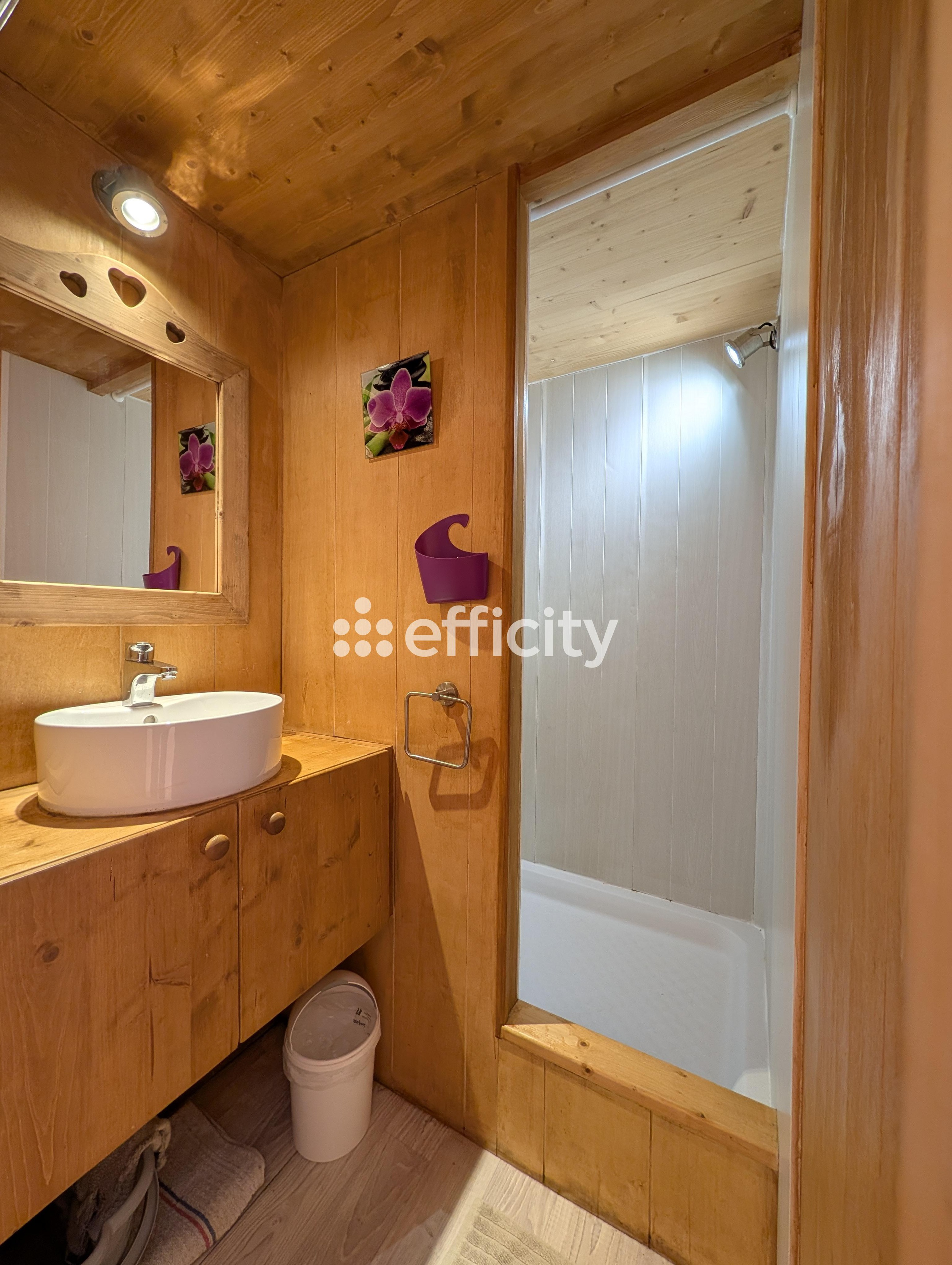 Achat immobilier Maison 3 pièces  30m2 à Saint-Pons (04400) - Photo n°9