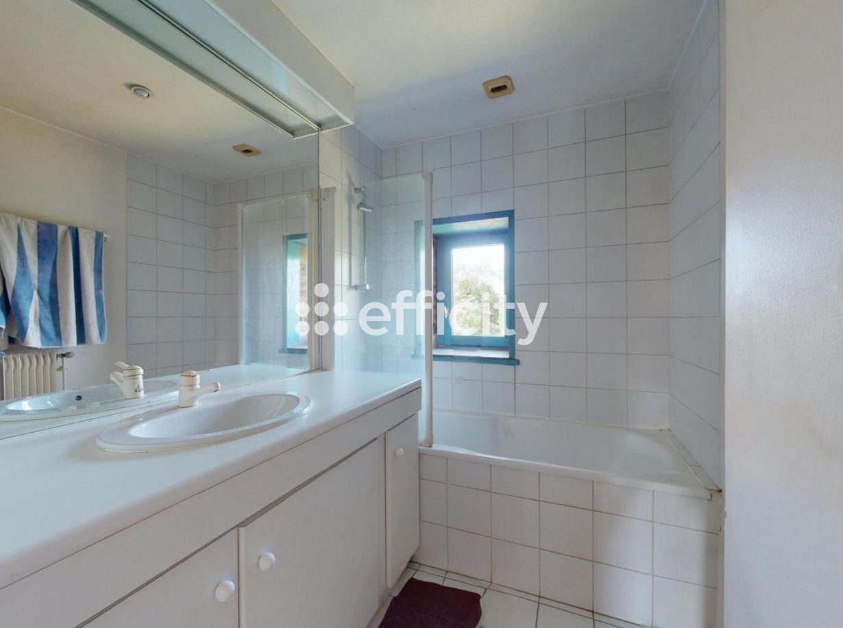 Achat immobilier Maison 5 pièces  198m2 à Saint-Denis-lès-Bourg (01000) - Photo n°13