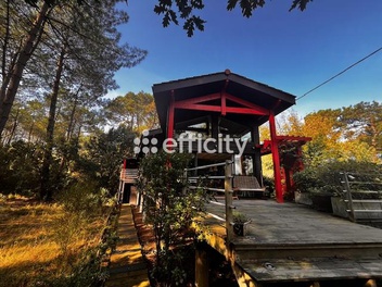 maison 5 pièces - 100,0m2 à Lacanau (33680)