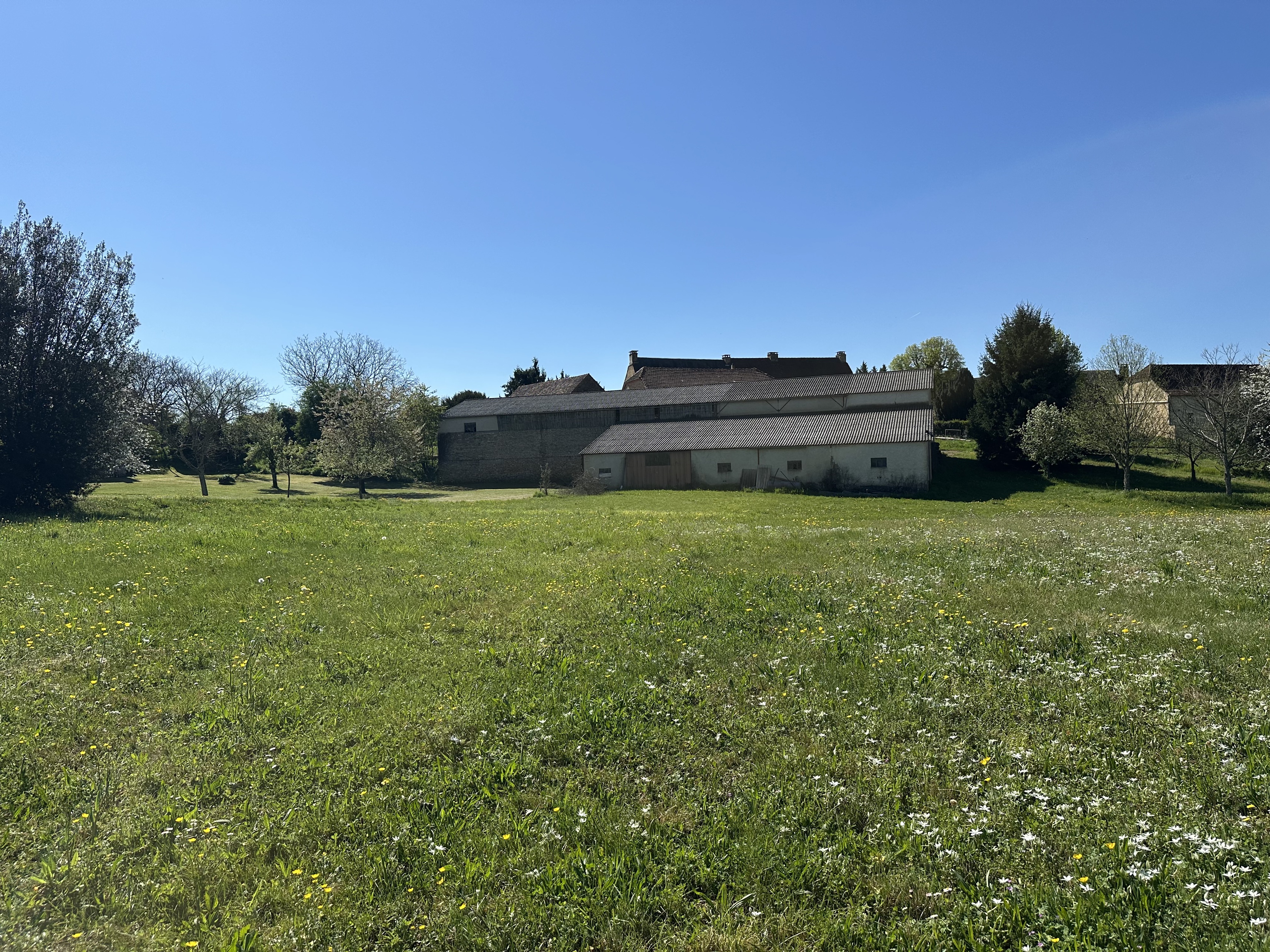 Terrain - Saint-Crépin-et-Carlucet