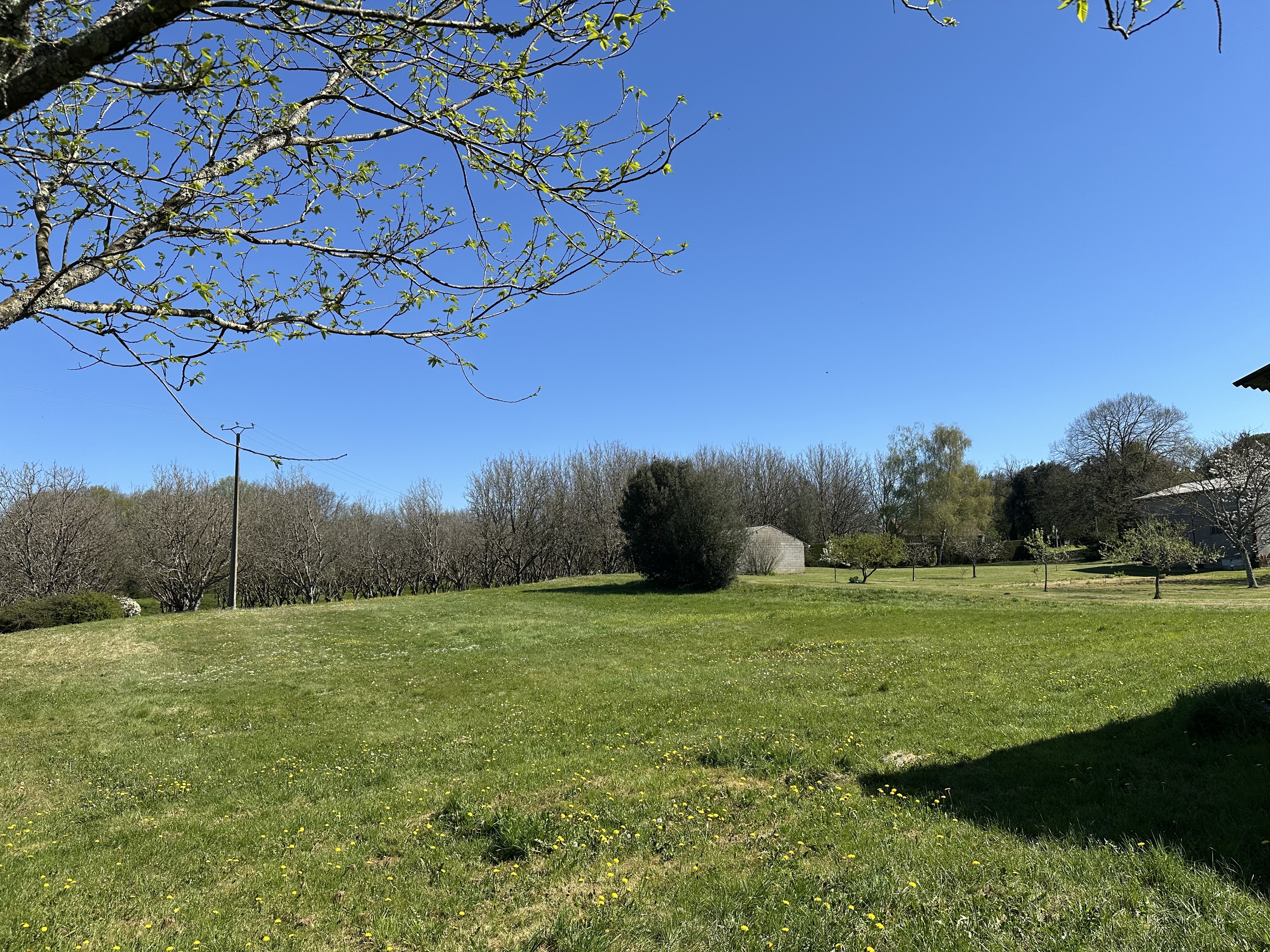 Terrain - Saint-Crépin-et-Carlucet
