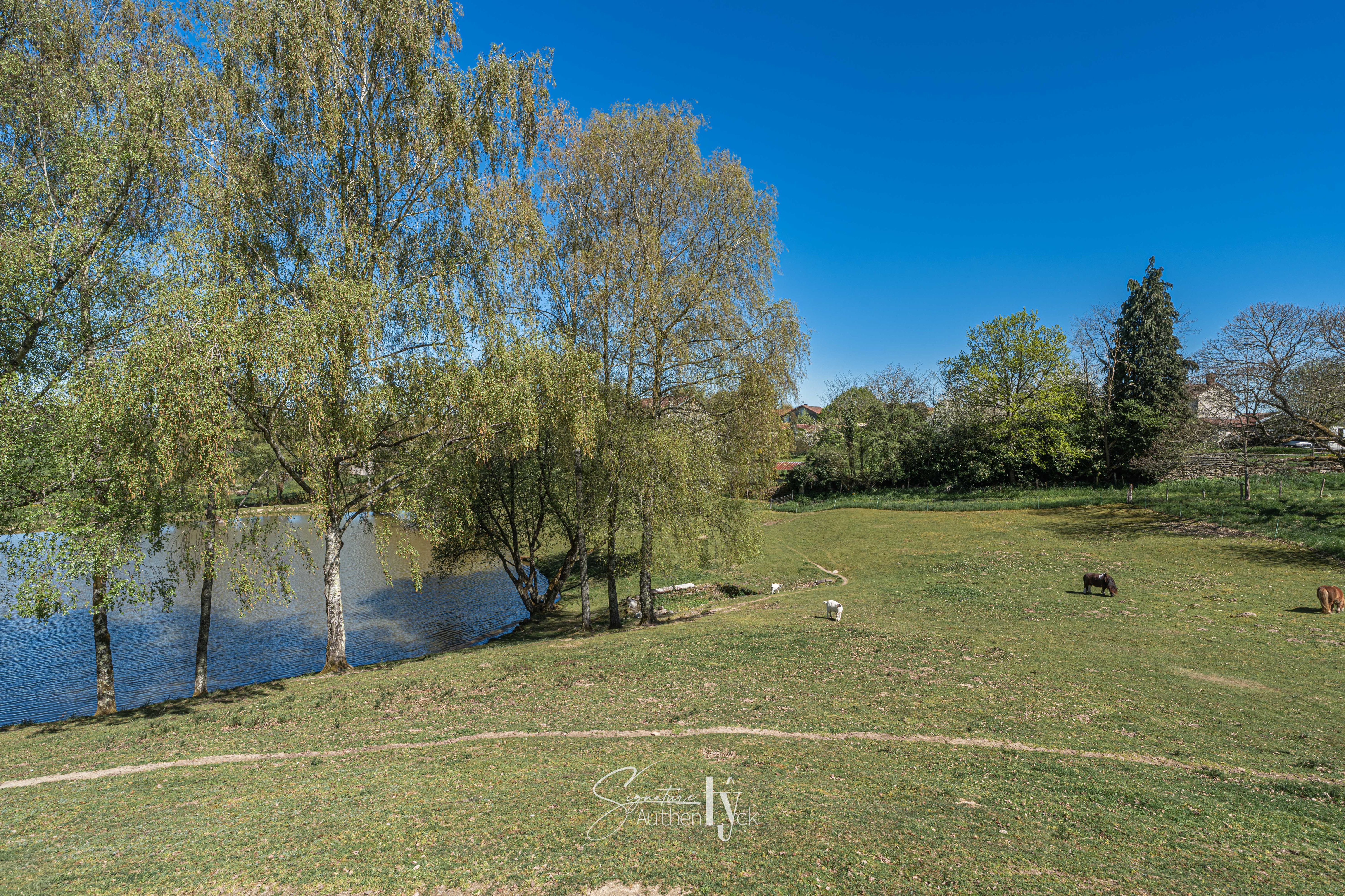 Maison - La Geneytouse