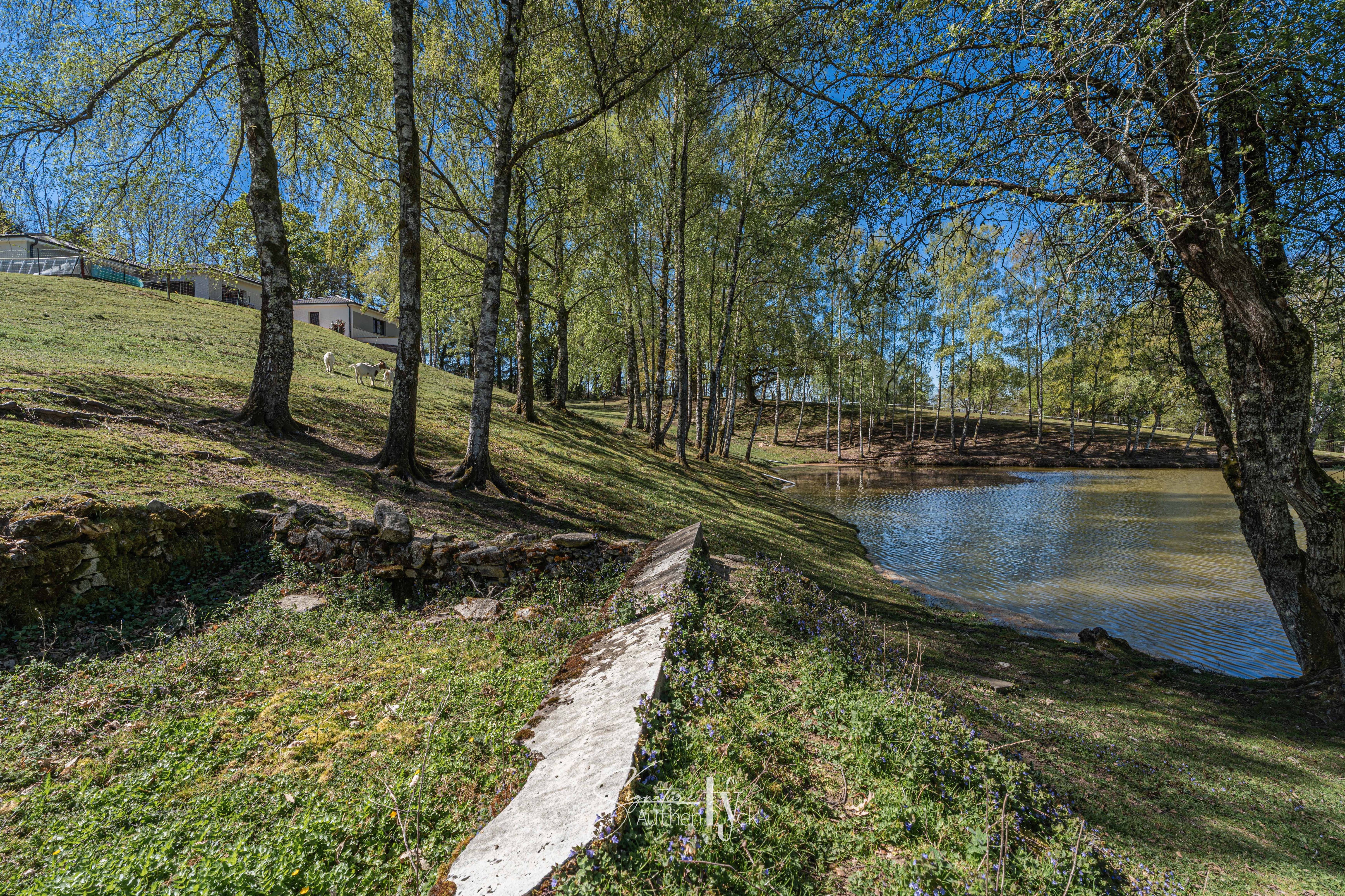 Maison - La Geneytouse