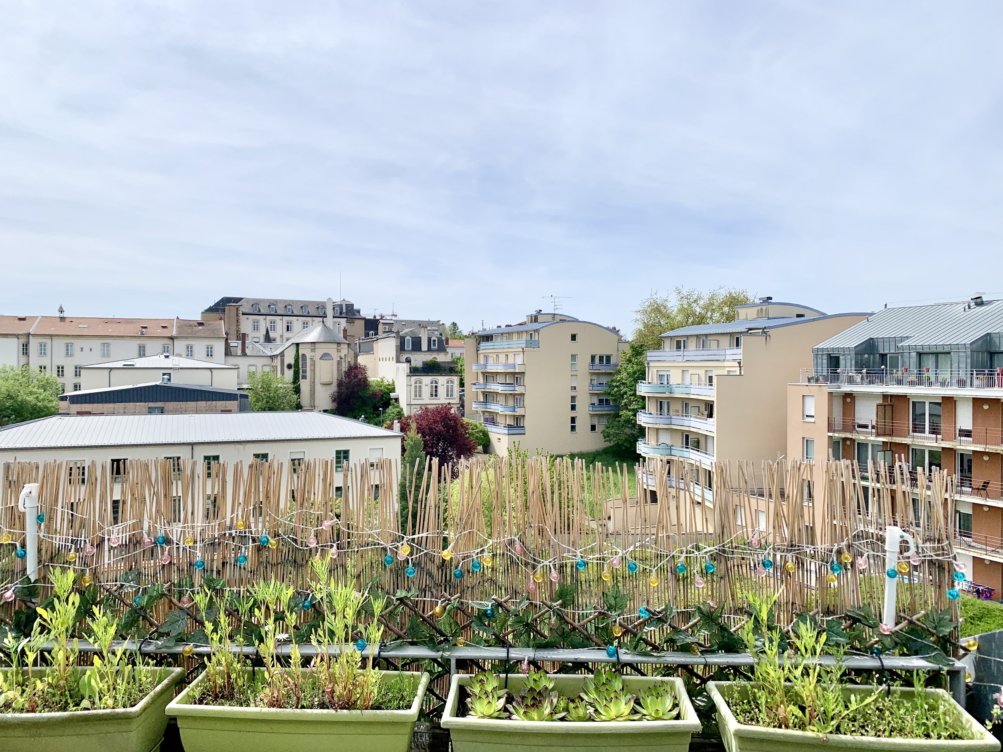 Achat immobilier Appartement 2 pièces  34m2 à Nancy (54000) - Photo n°4