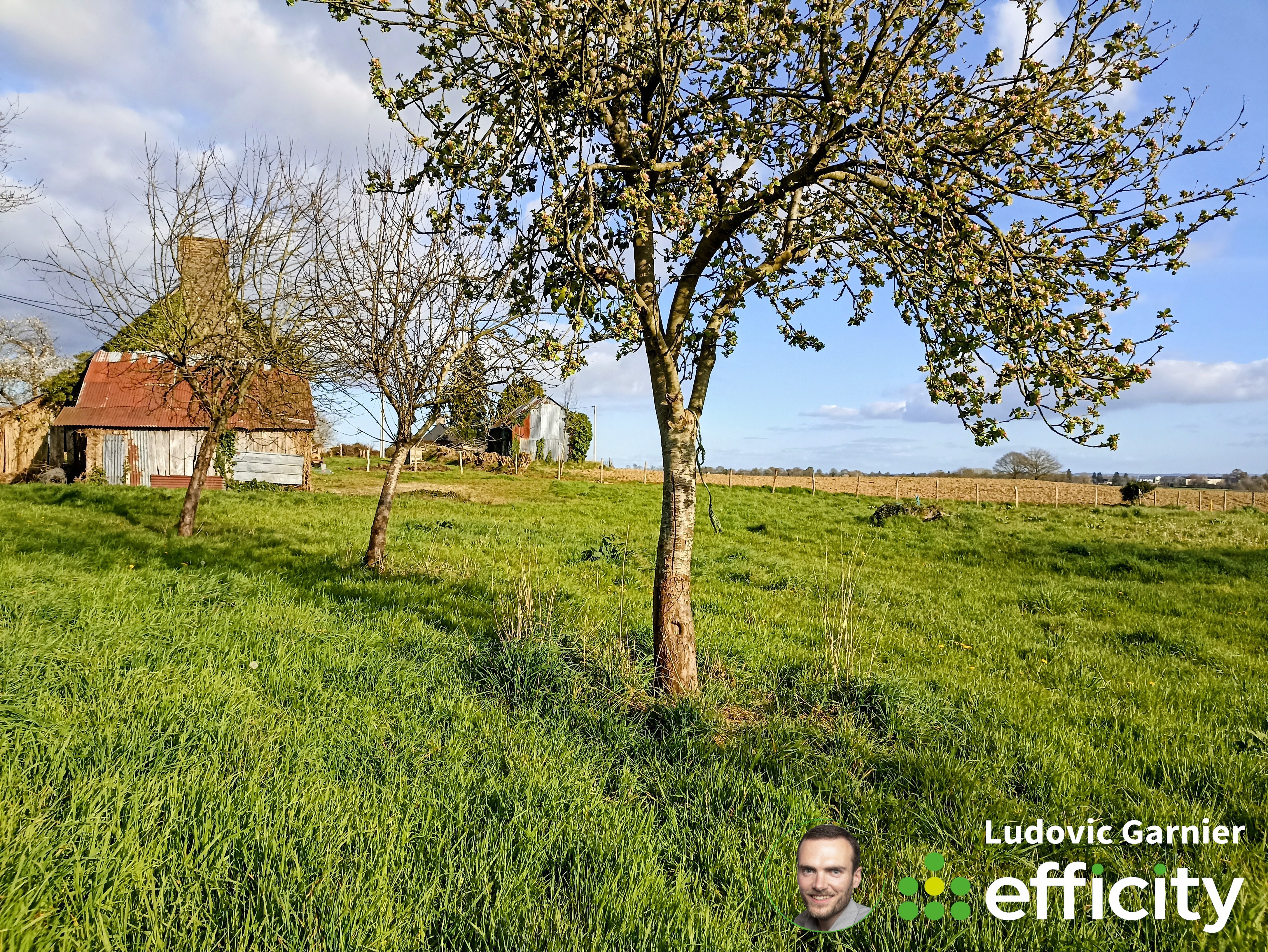 Achat immobilier Maison 2 pièces  55m2 à Romagny Fontenay (50140) - Photo n°18
