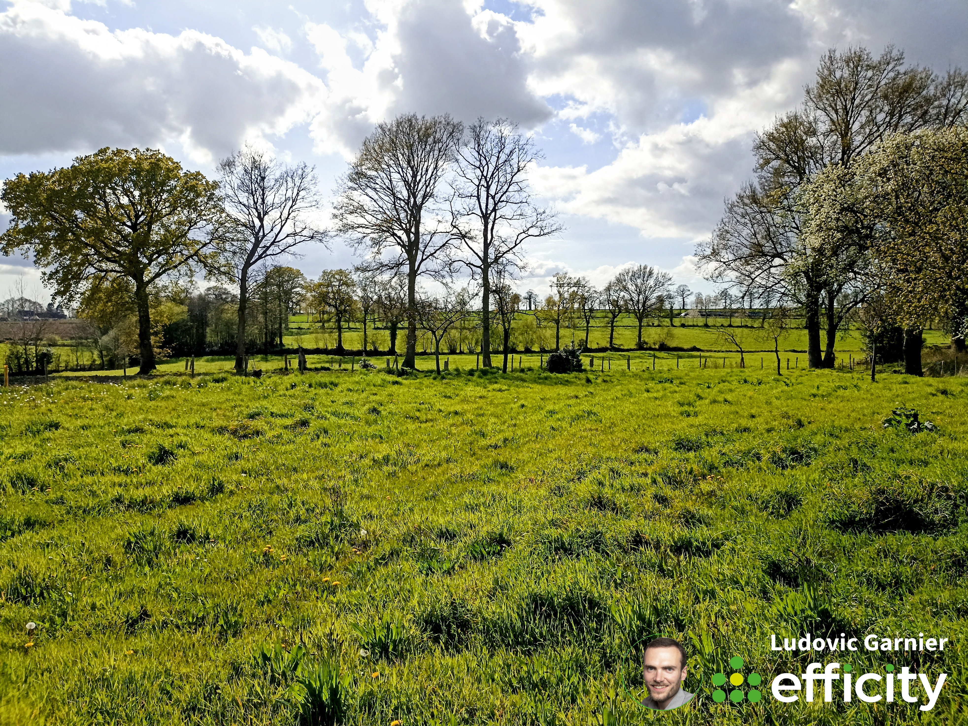 Achat immobilier Maison 2 pièces  55m2 à Romagny Fontenay (50140) - Photo n°19