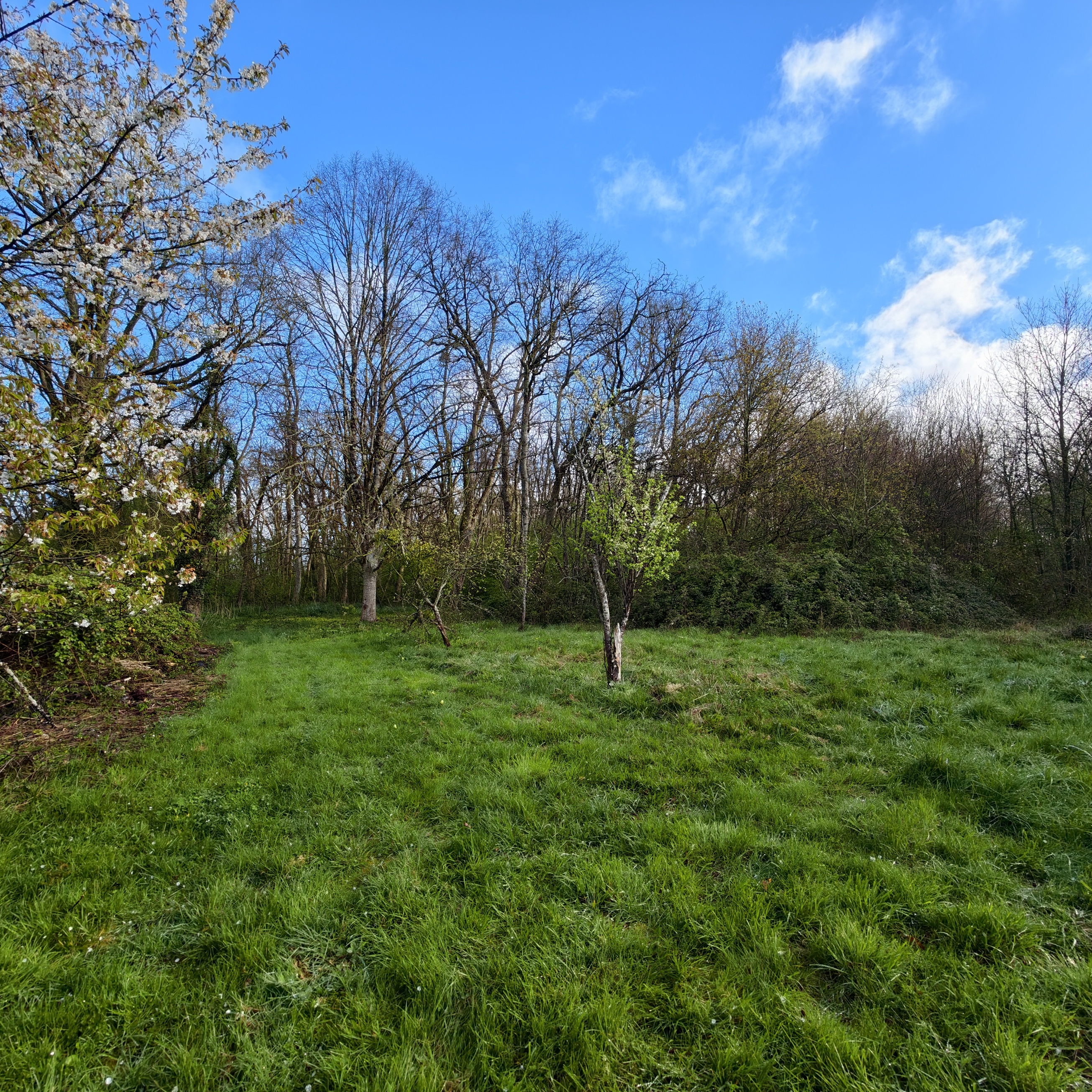Achat immobilier Maison 3 pièces  100m2 à Villebourg (37370) - Photo n°16