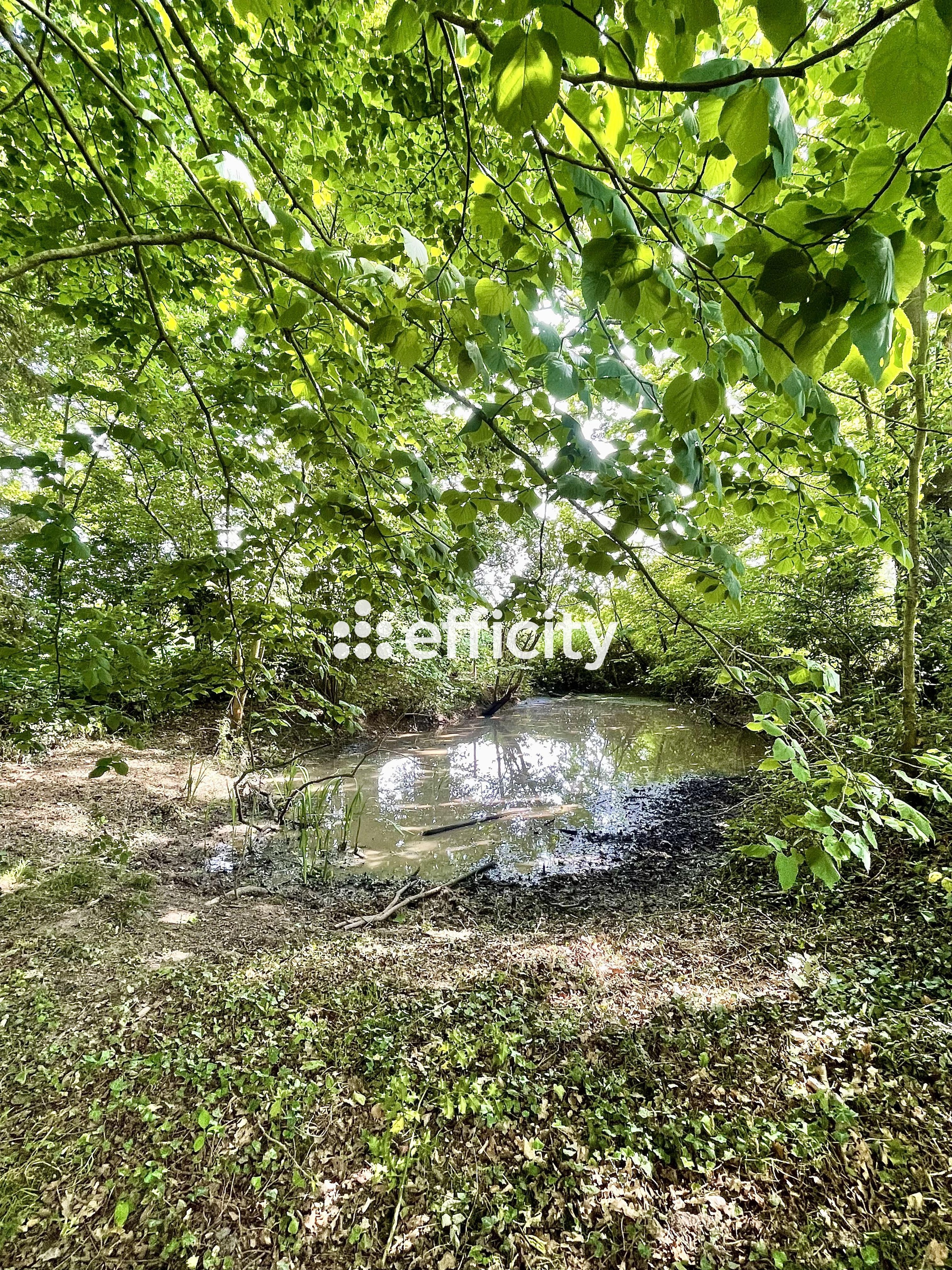 Achat immobilier Maison 12 pièces  164m2 à Saint-Hymer (14130) - Photo n°8
