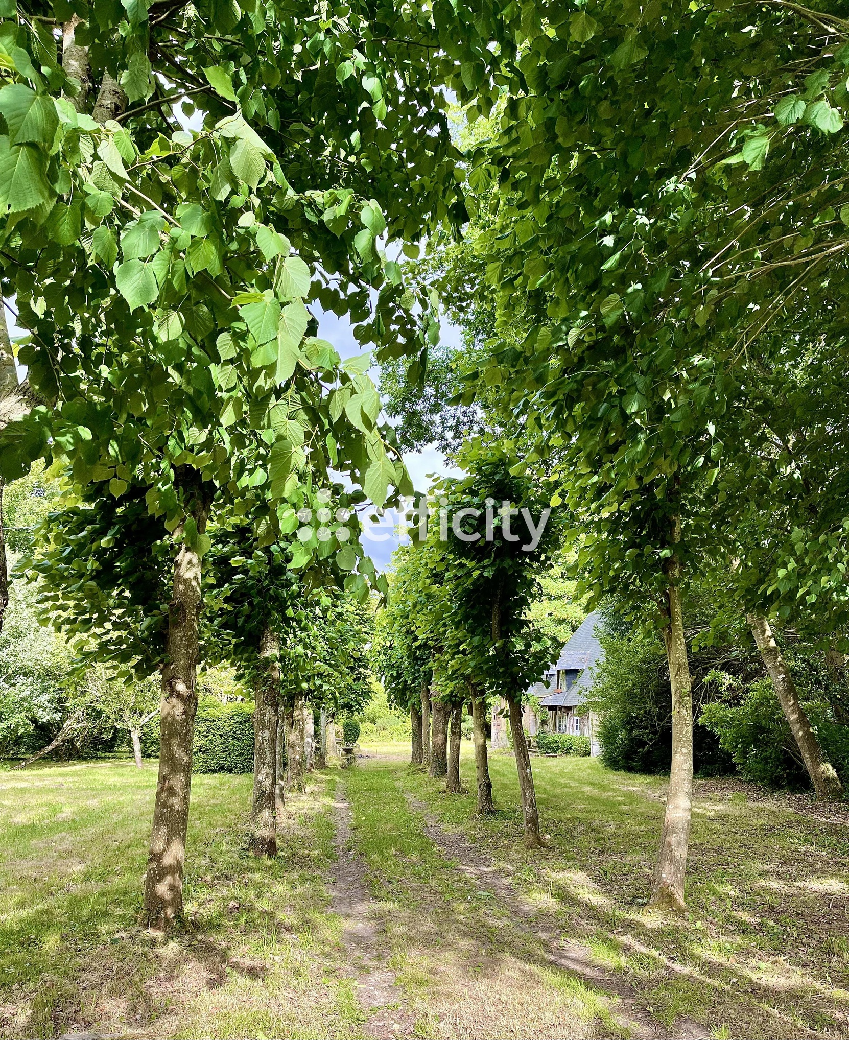 maison 12 pièces - 164m2 à Saint-Hymer (14130)