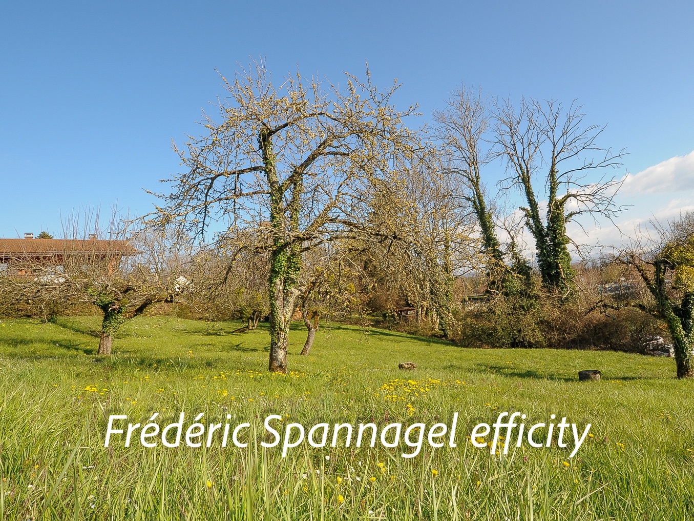 terrain  - 1430m2 à Bonne (74380)