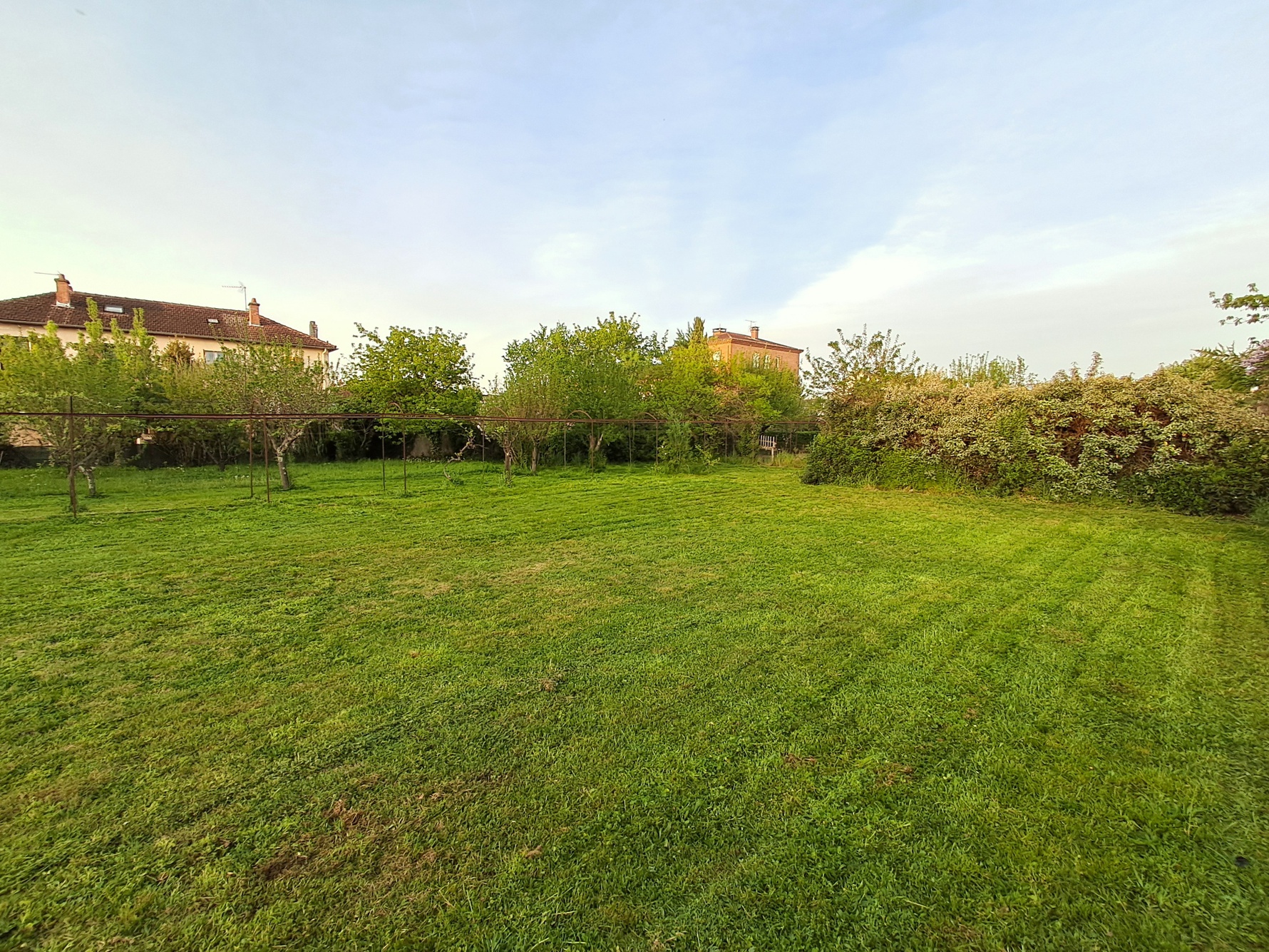 terrain  - 859m2 à ALBI (81000)