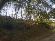 terrain  - 4639m2 à Castres (81100)