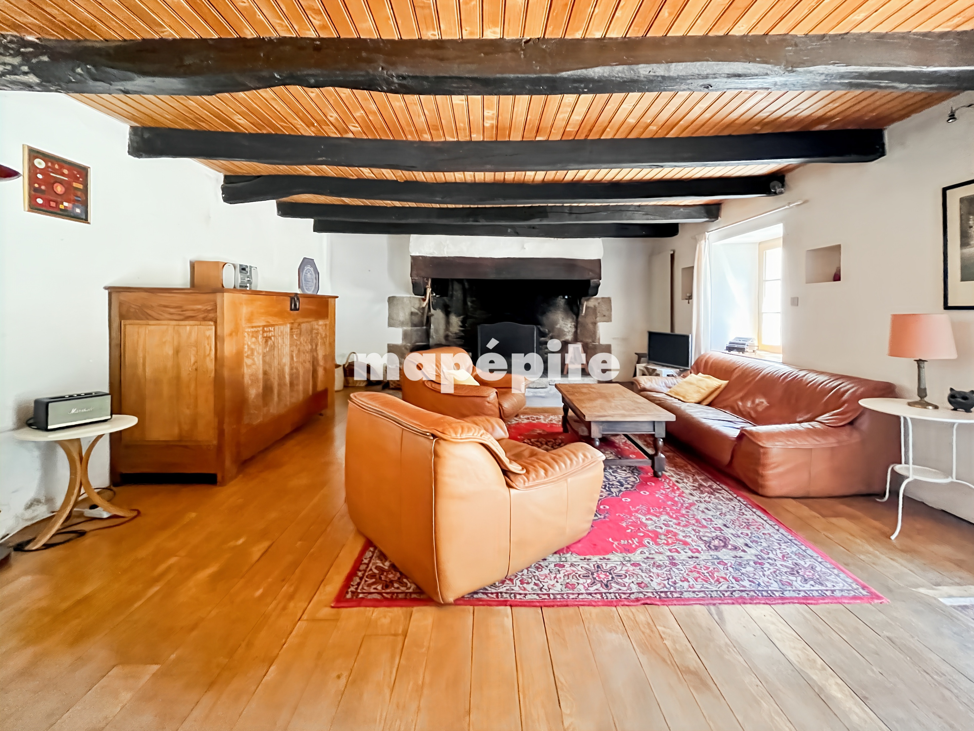 Achat immobilier Maison 19 pièces  1275m2 à Leuhan (29390) - Photo n°10