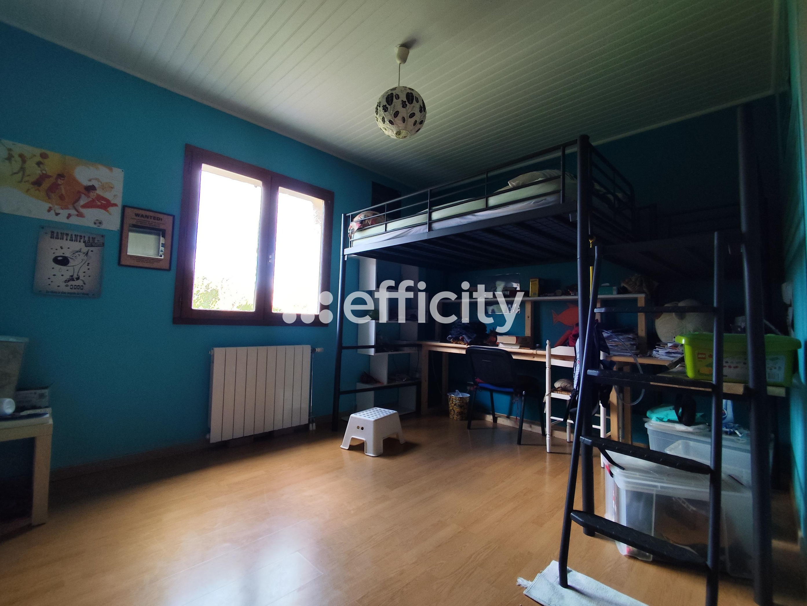 Achat immobilier Maison 8 pièces  161m2 à Saint-Romain-d'Ay (07290) - Photo n°13