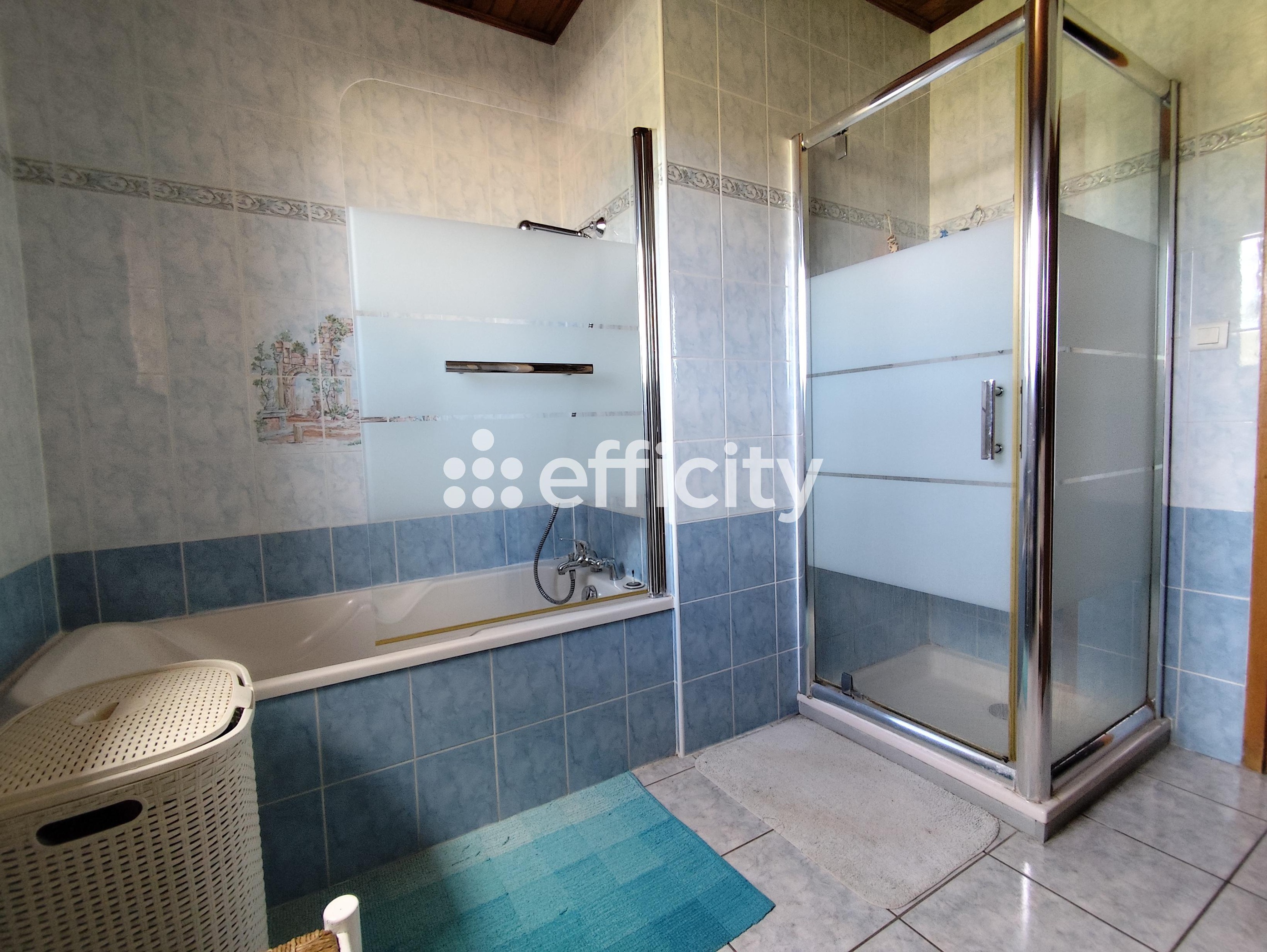 Achat immobilier Maison 8 pièces  161m2 à Saint-Romain-d'Ay (07290) - Photo n°12