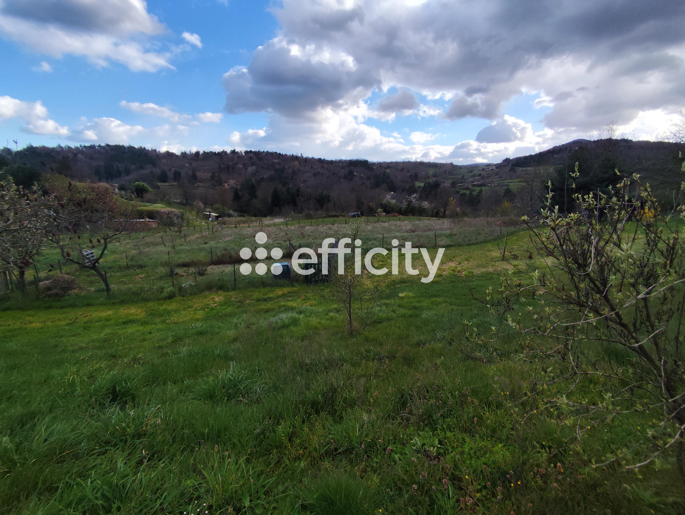 Achat immobilier Maison 8 pièces  161m2 à Saint-Romain-d'Ay (07290) - Photo n°6
