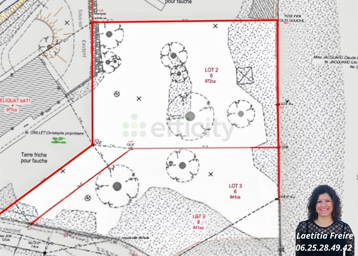 terrain  - 972m2 à Marignier (74970)