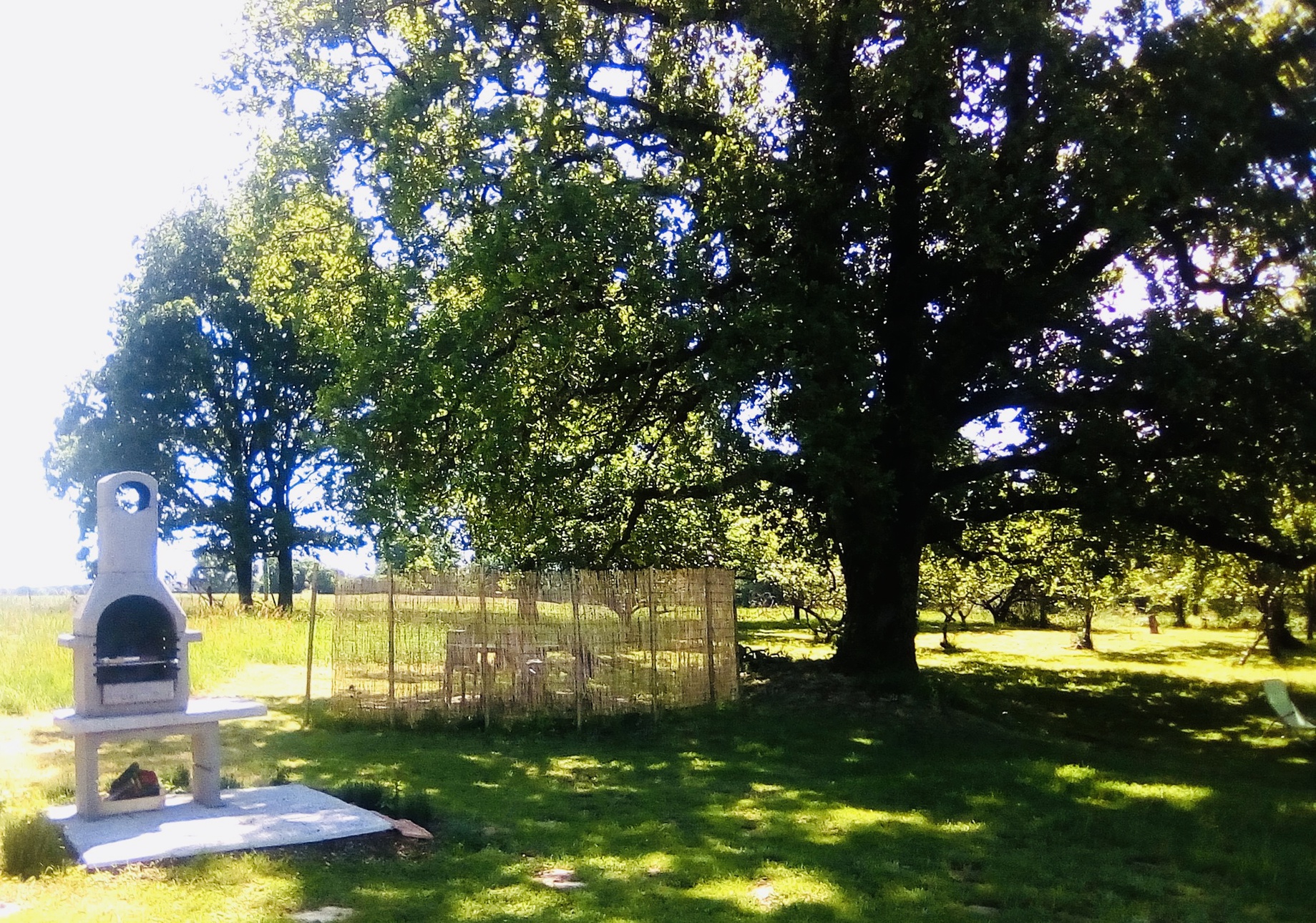Achat immobilier Maison 15 pièces  565m2 à Bahus-Soubiran (40320) - Photo n°9