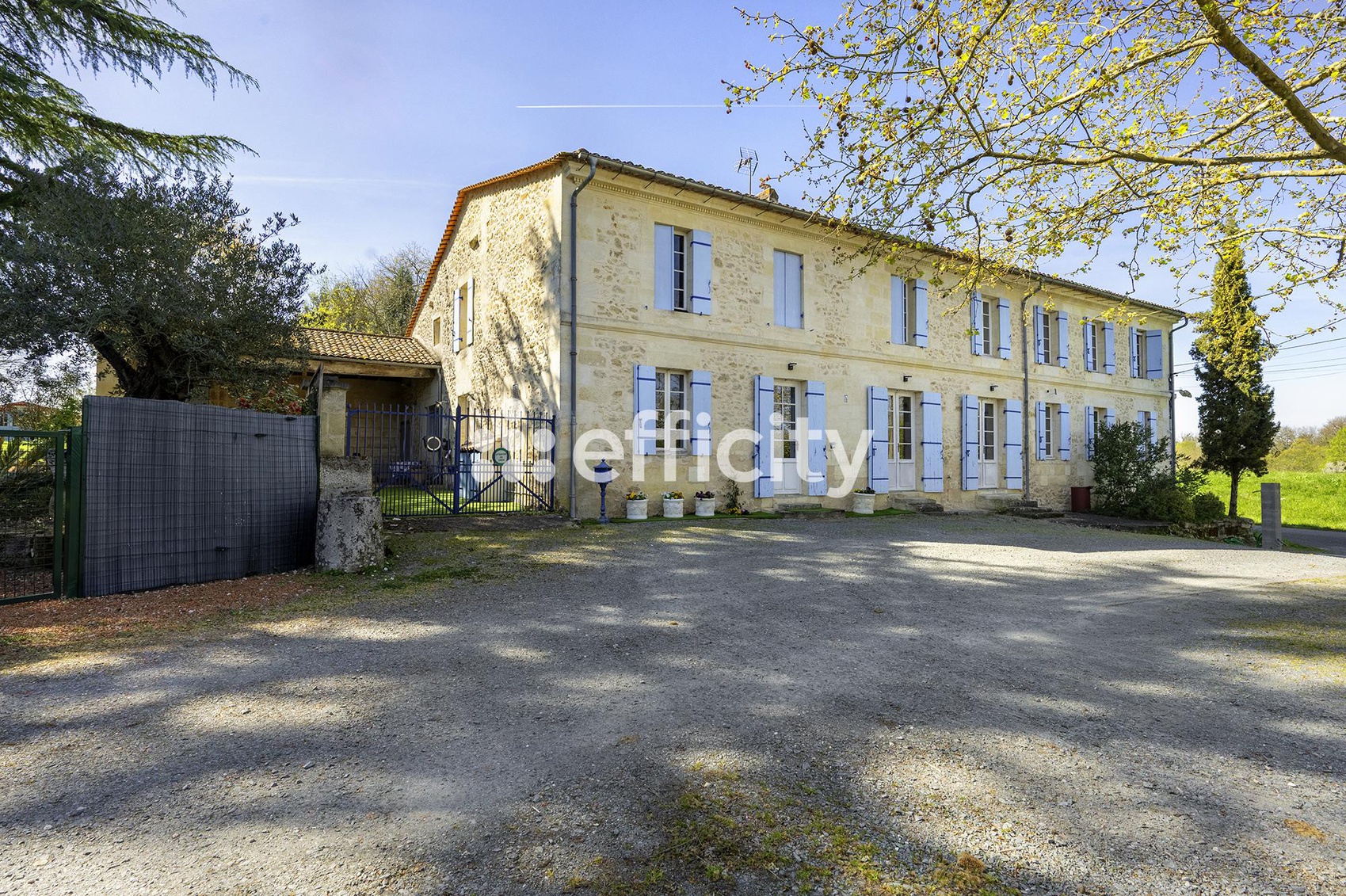 Achat immobilier Maison 7 pièces  325m2 à Blésignac (33670) - Photo n°1