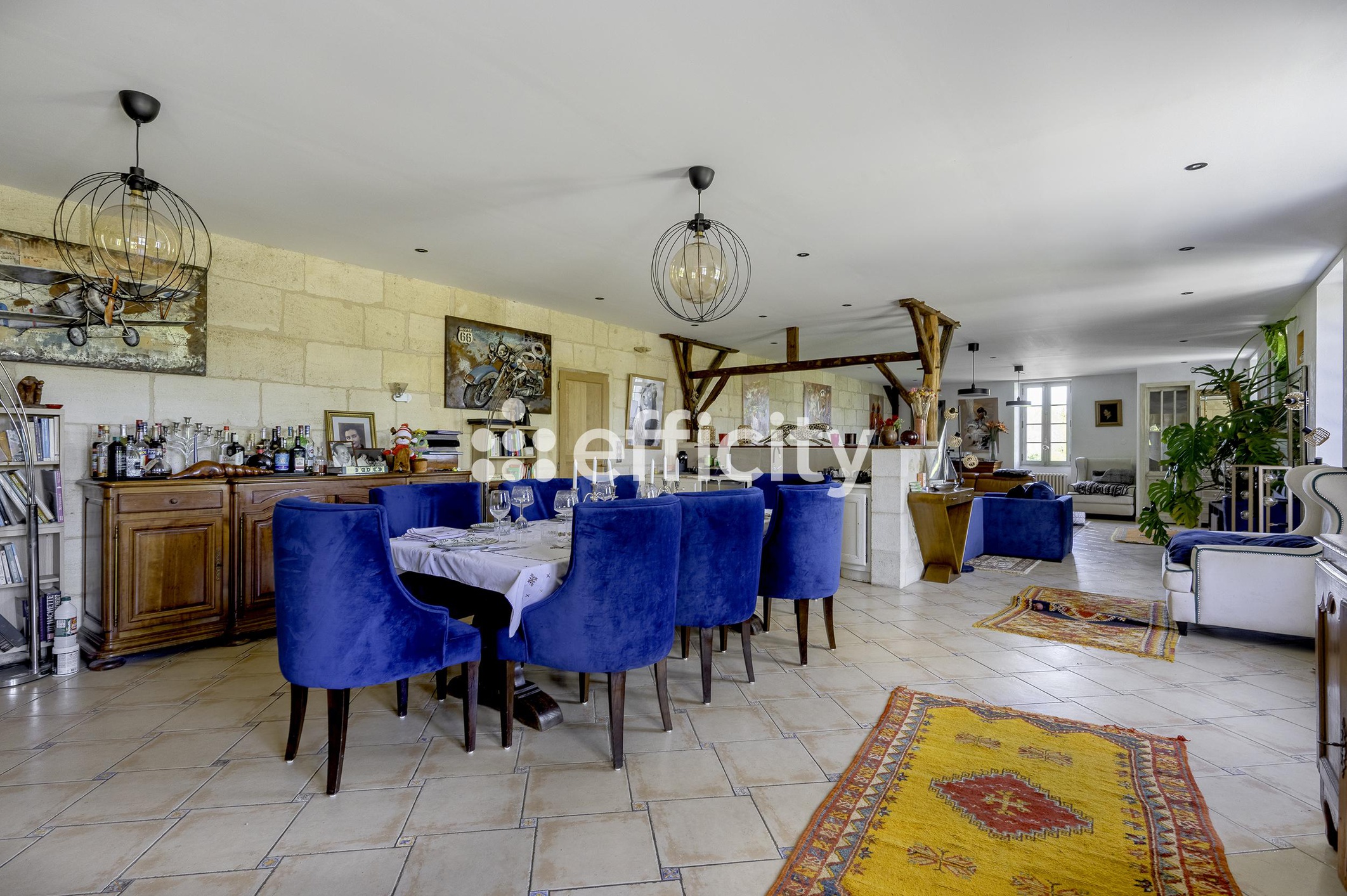 Achat immobilier Maison 7 pièces  325m2 à Blésignac (33670) - Photo n°5