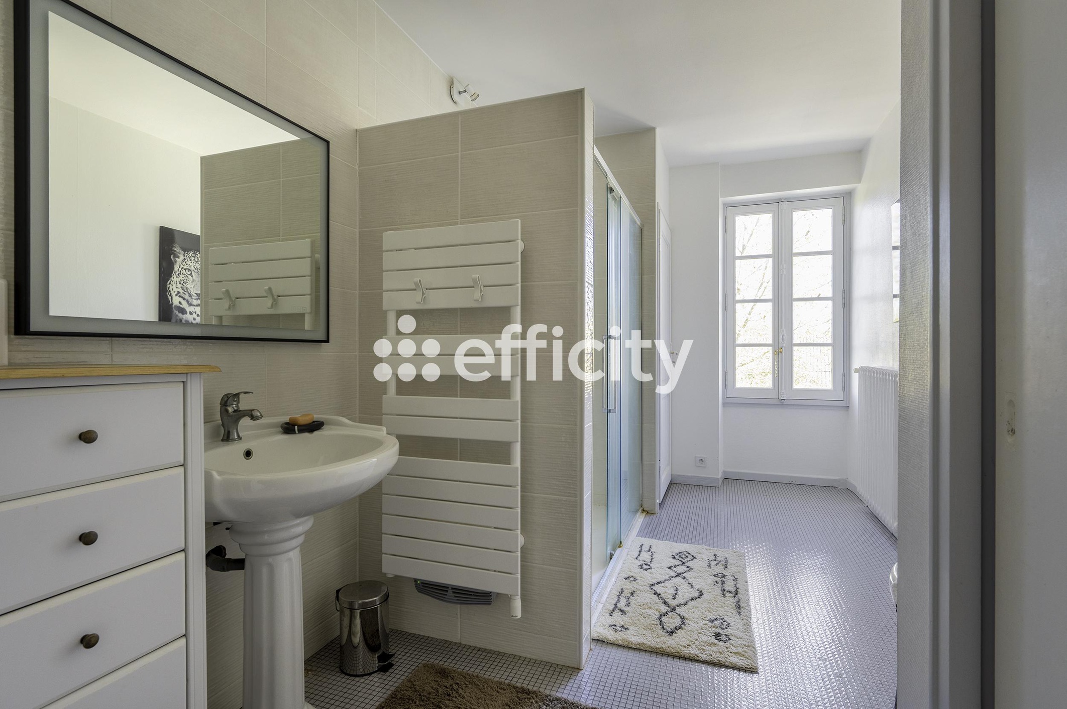 Achat immobilier Maison 7 pièces  325m2 à Blésignac (33670) - Photo n°8