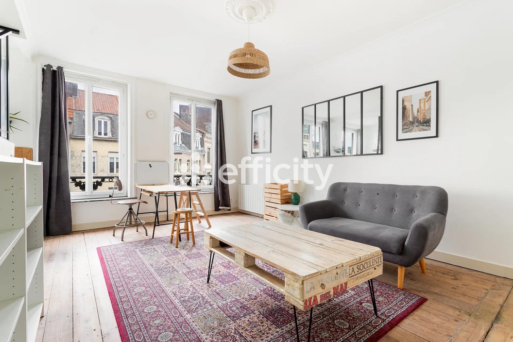 appartement 2 pièces - 48m2 à Lille (59000)