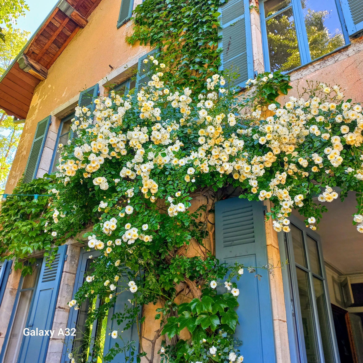 Achat immobilier Maison 13 pièces  370m2 à Besançon (25000) - Photo n°22