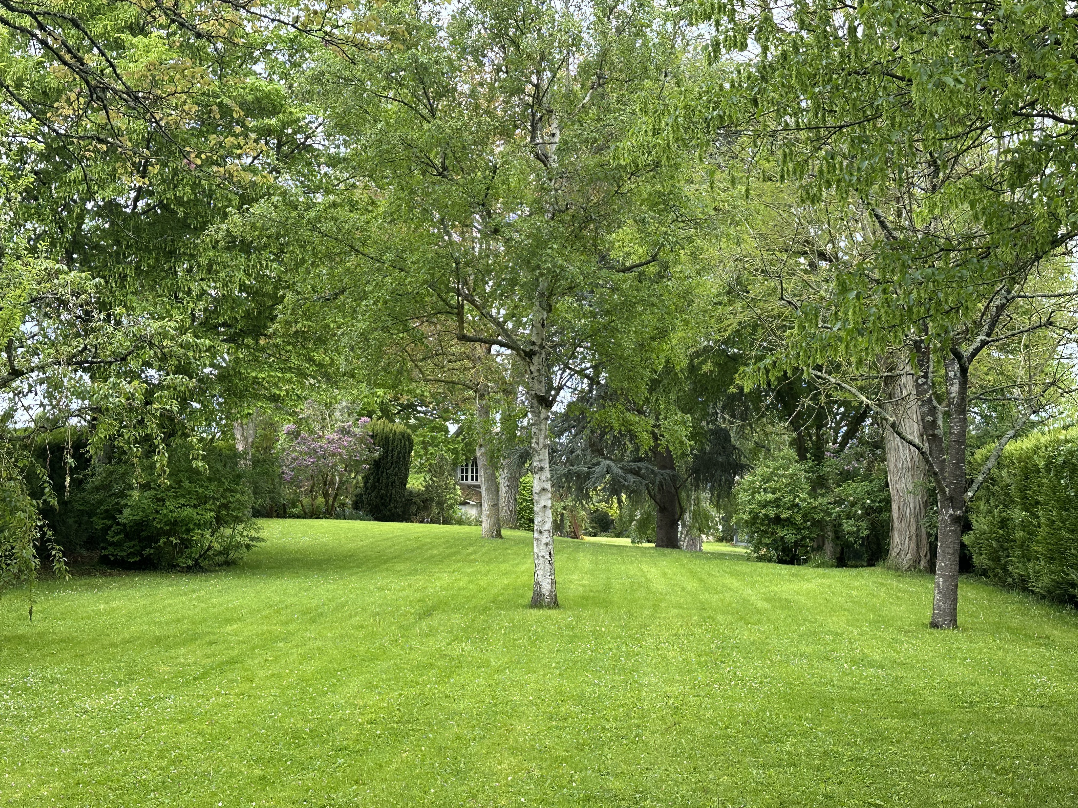 Achat immobilier Maison 9 pièces  310m2 à Bû (28410) - Photo n°22