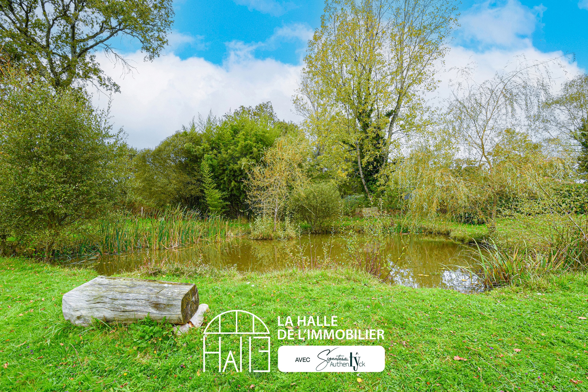 Terrain - Saint-Auvent