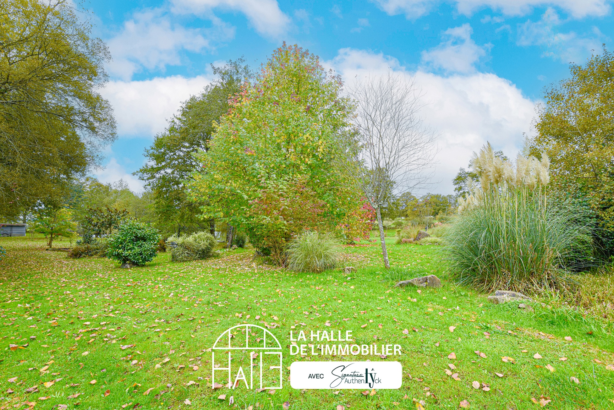 Terrain - Saint-Auvent