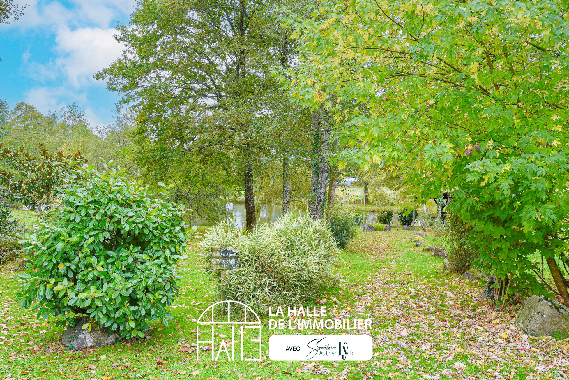 Terrain - Saint-Auvent